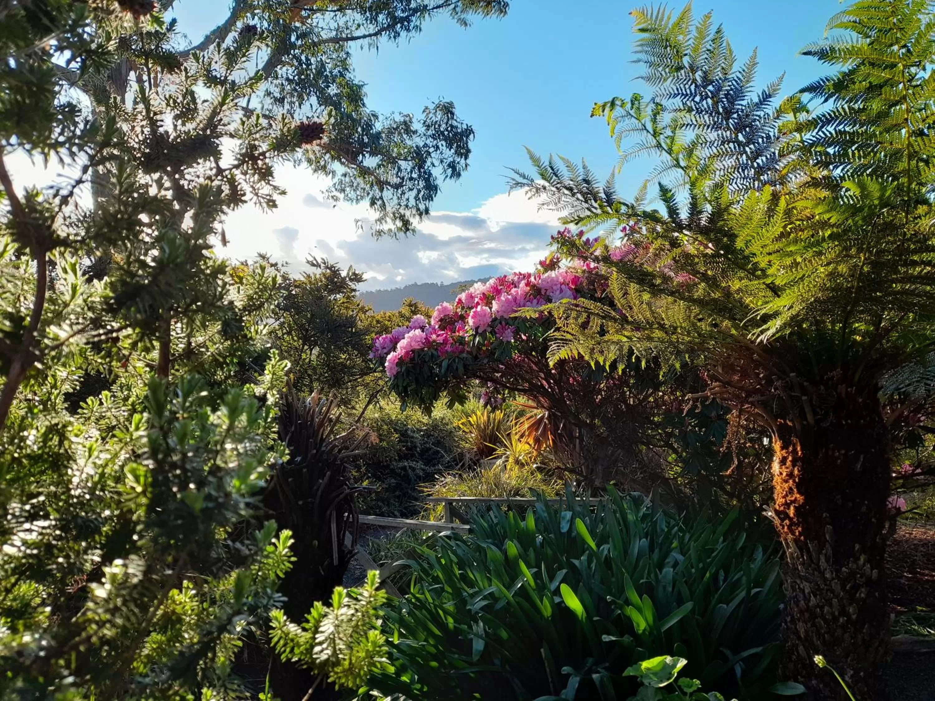 Hillside Bed and Breakfast