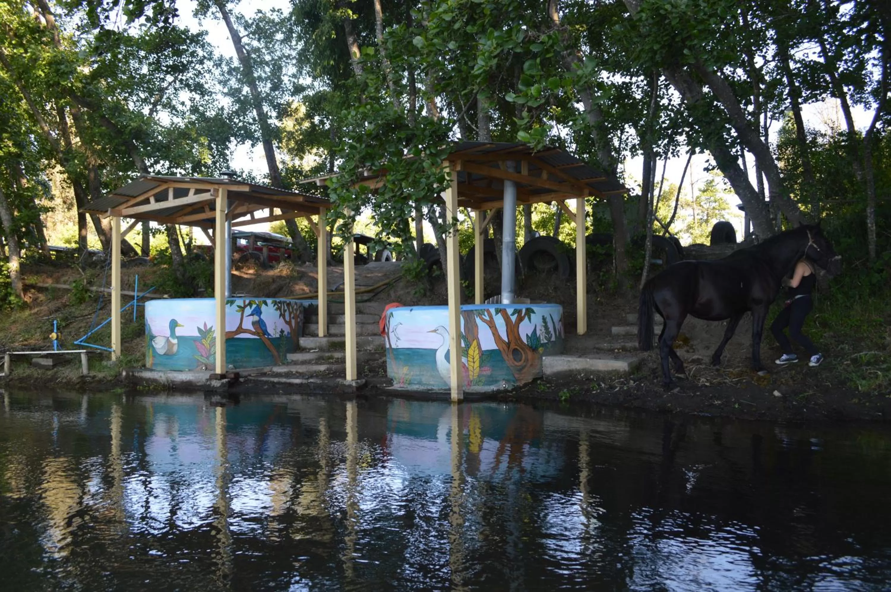 Coyunche Cabañas y Camping Laja & San Rosendo