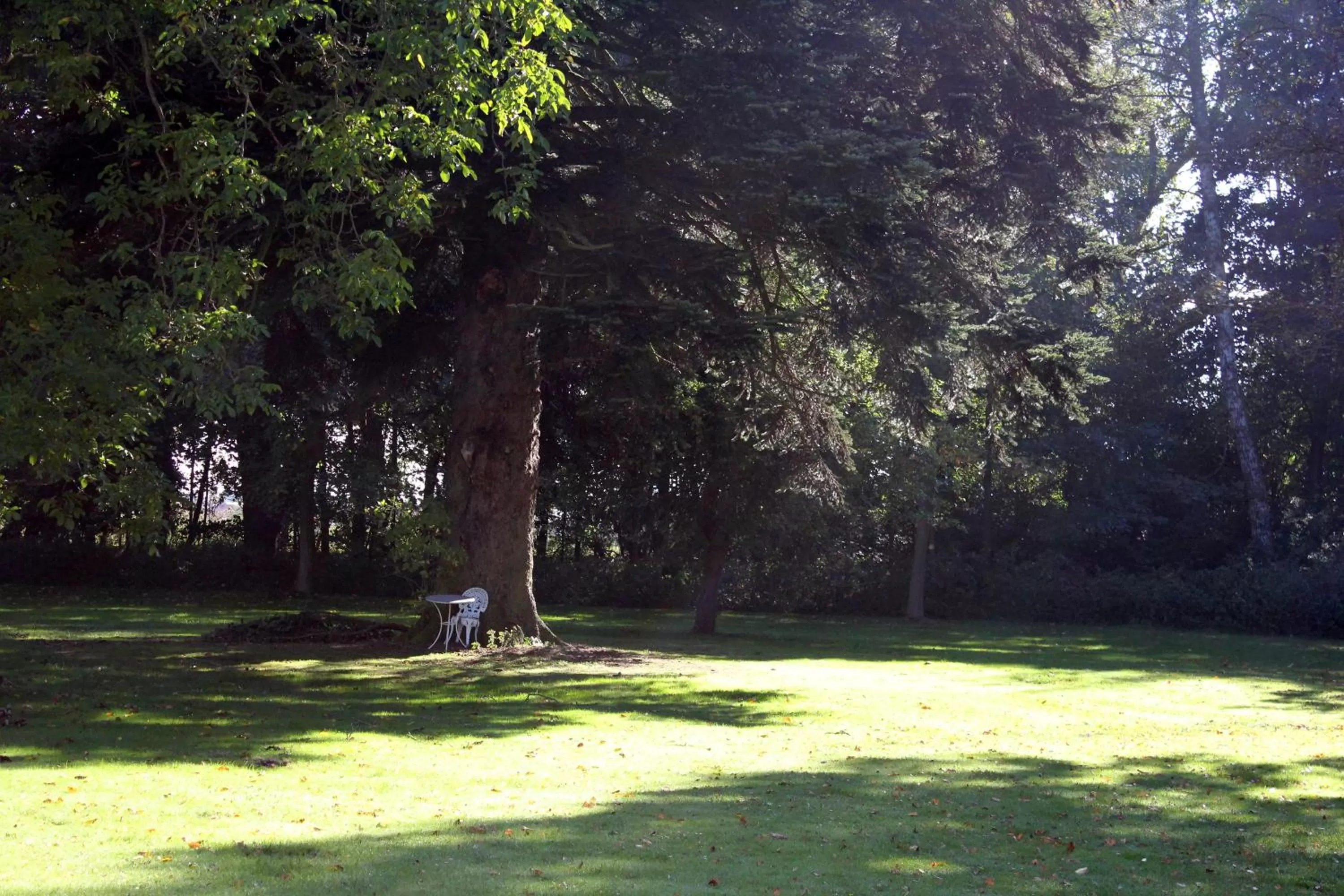 Garden in Ny Kirstineberg Gods Bed & Breakfast