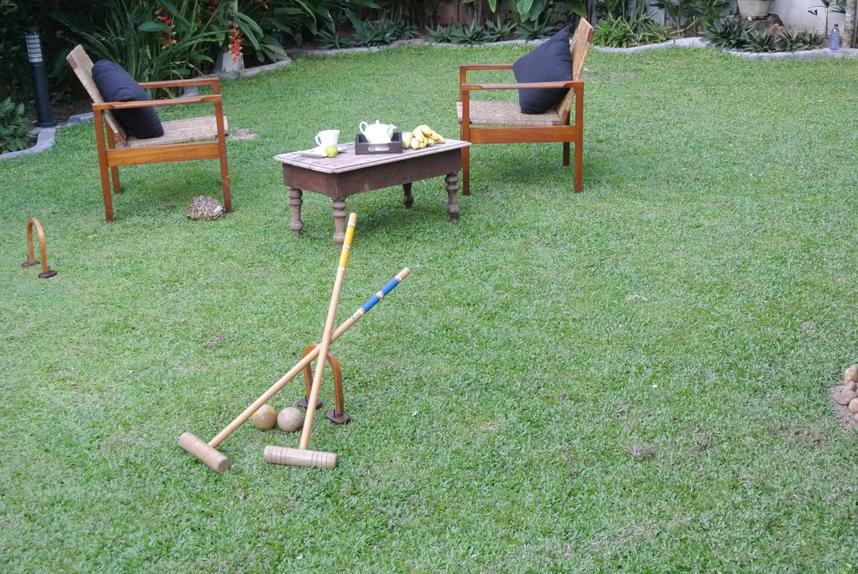 "27" Spathodea- Oasis in the City "27" Spathodea- Oasis in the City