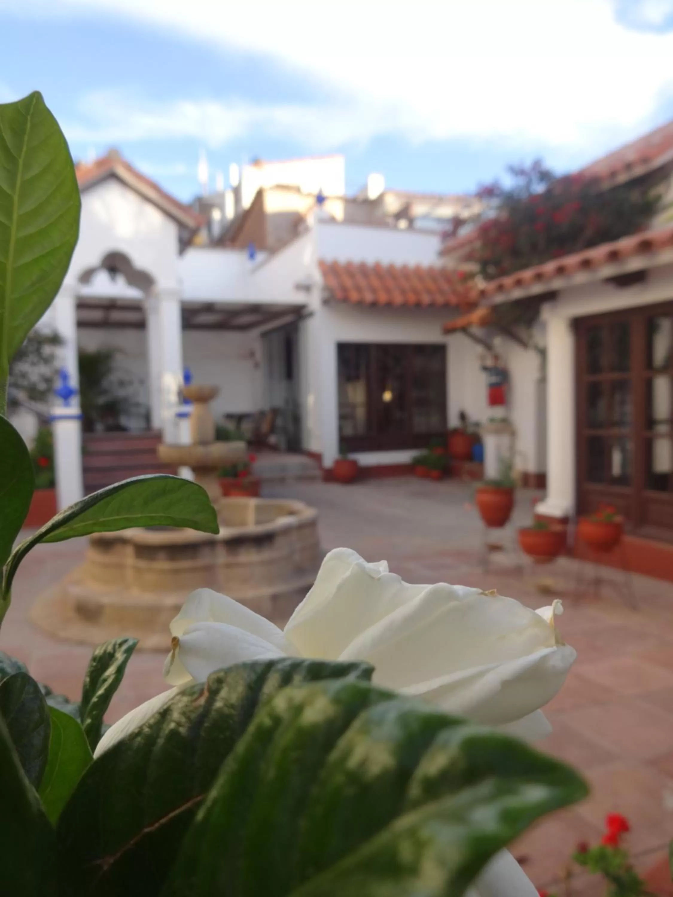 Lobby or reception in El Jardin De Su Merced B&B