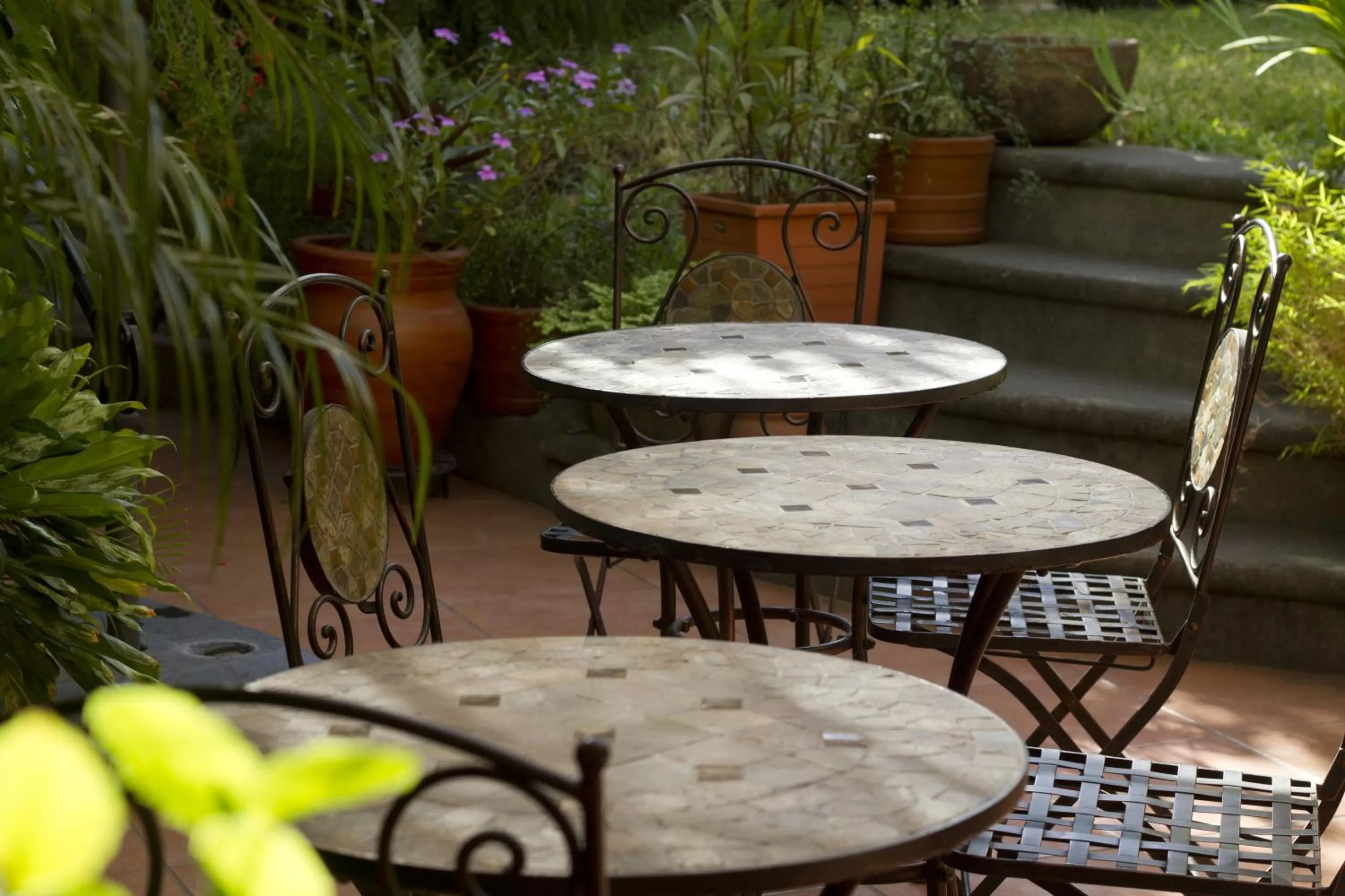 Balcony/Terrace in Hotel Colibri