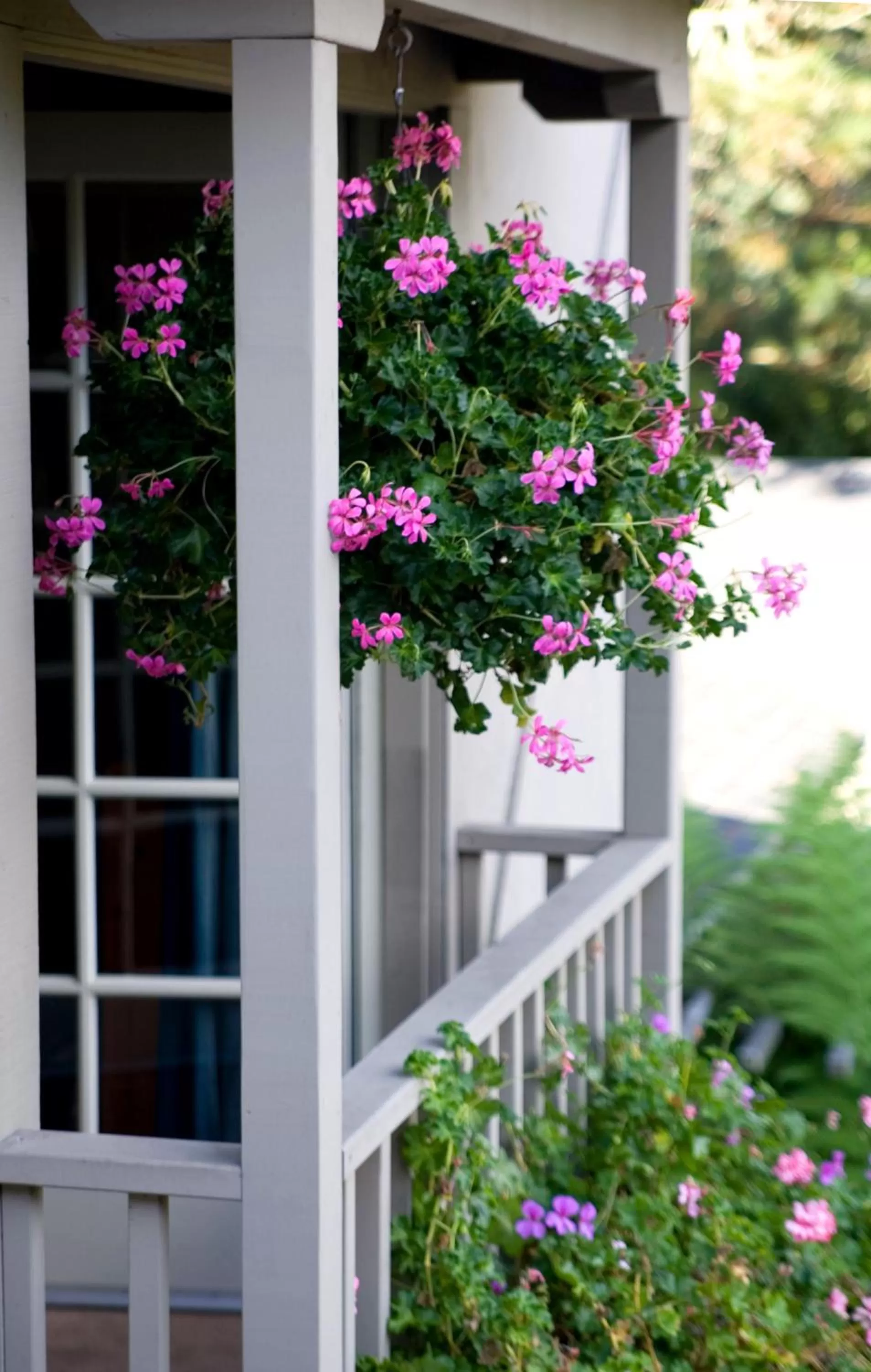 Garden in Carmel Country Inn