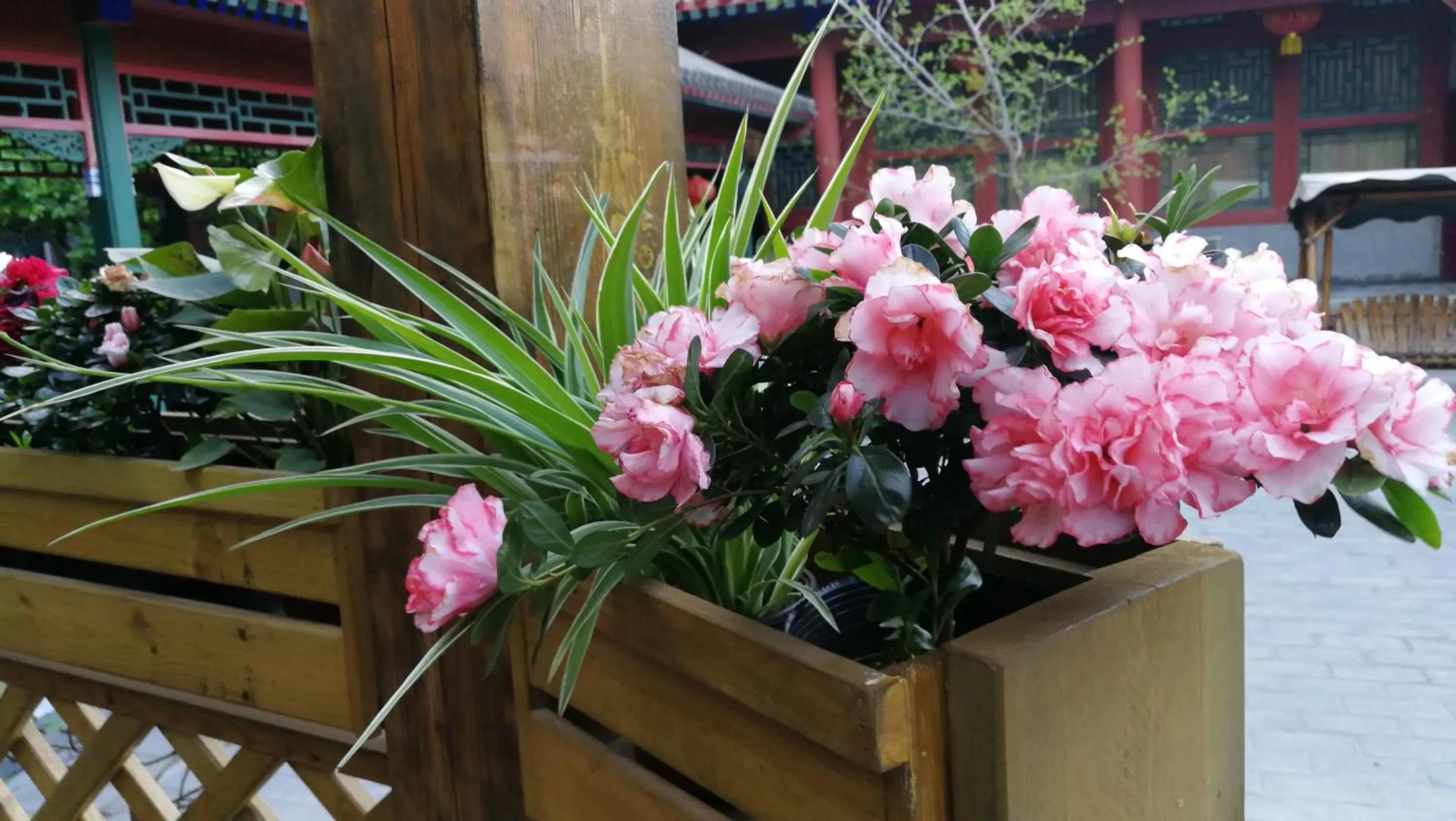 Beijing Jingyuan Courtyard Hotel