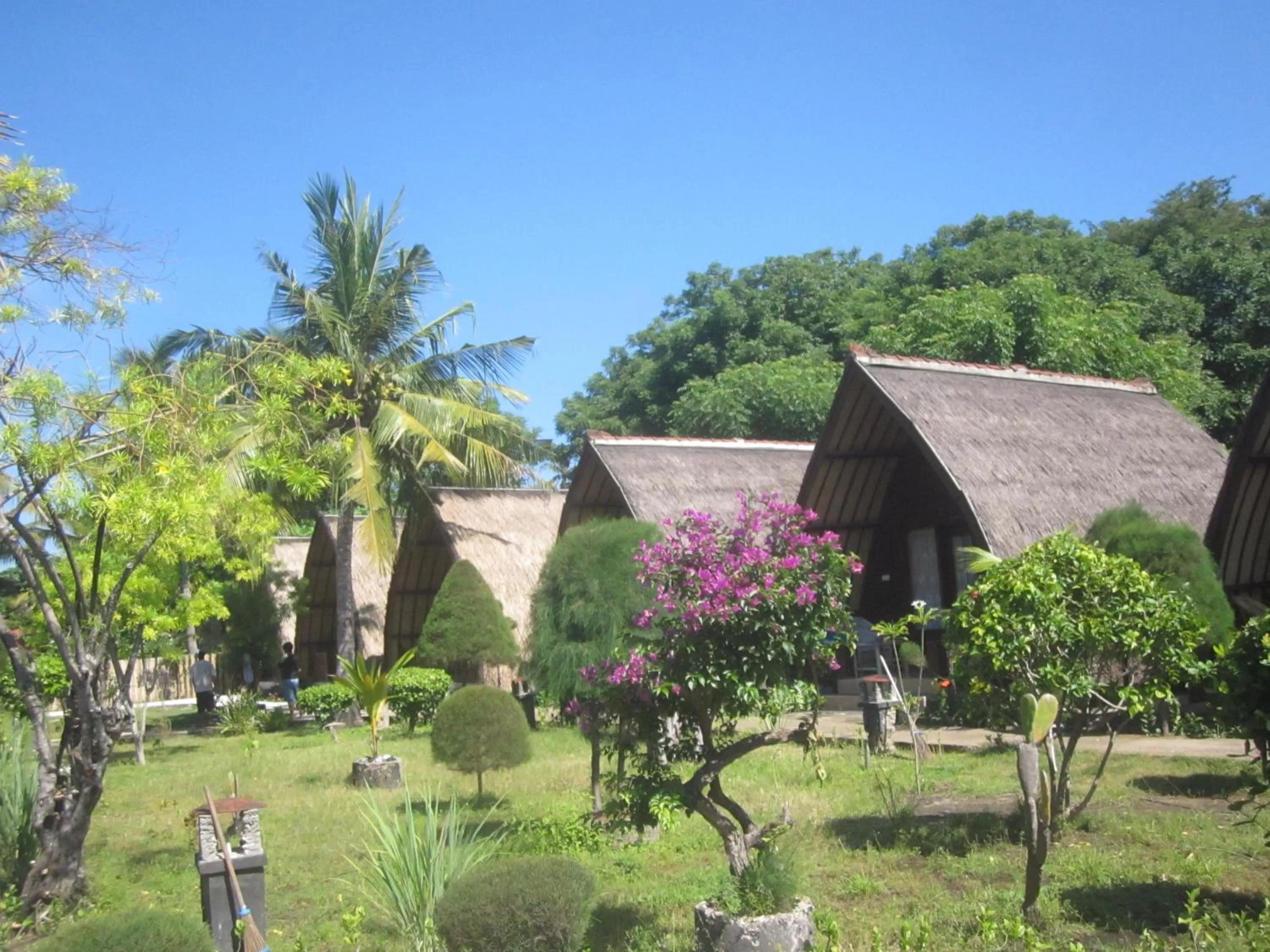 Garden, Property Building in Sandy Beach Bungalows