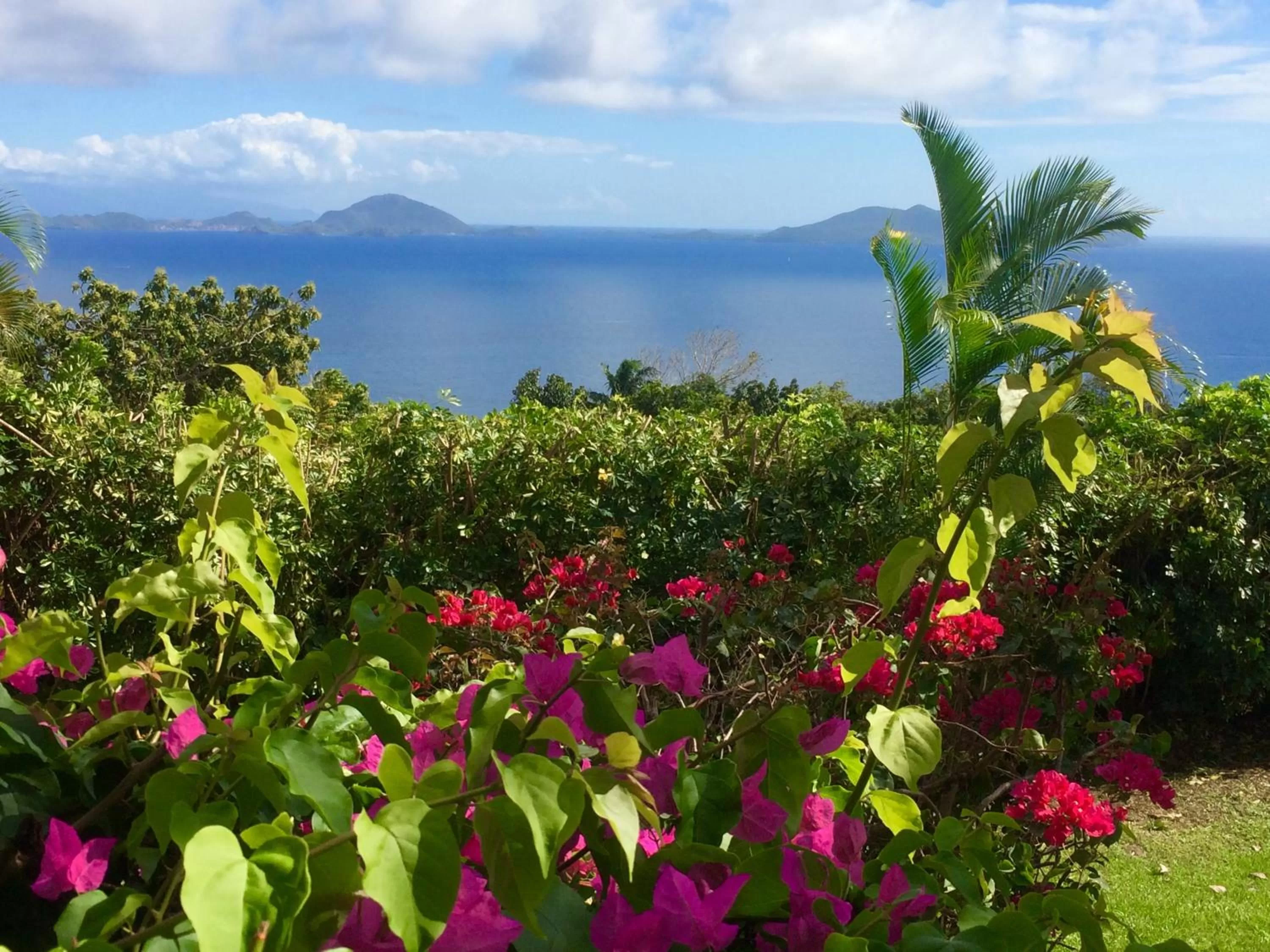 Property building in Villa Cajou (Chambre d'hôtes chez l'habitant)