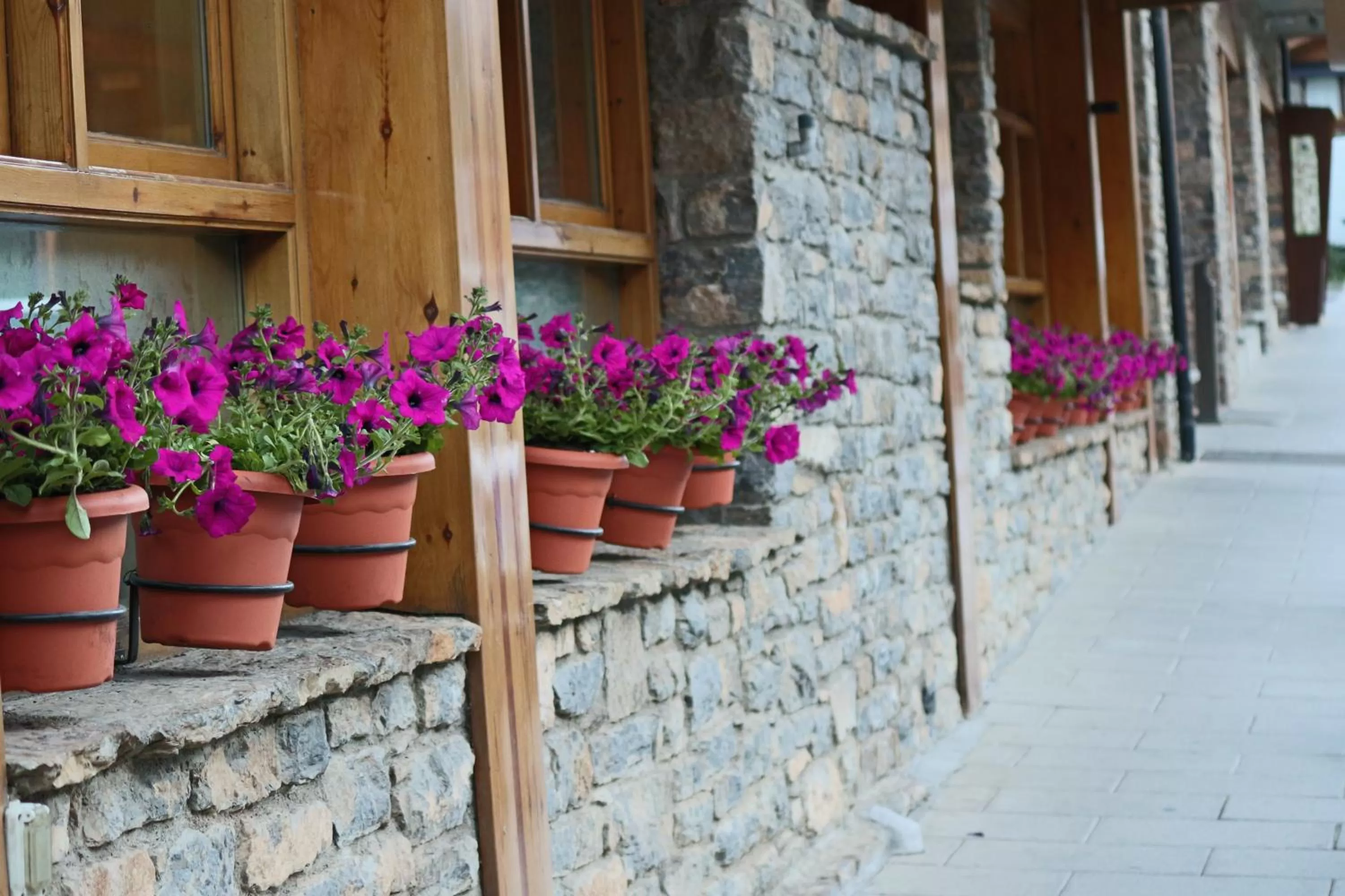 Property building in Hotel Restaurant Les Brases