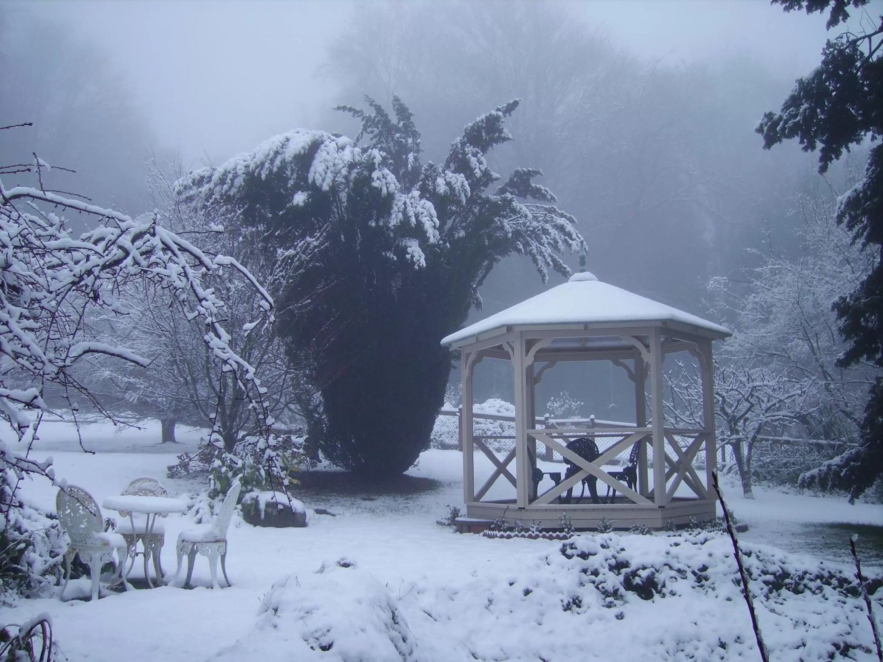 Garden, Winter in Arcadia Cottages