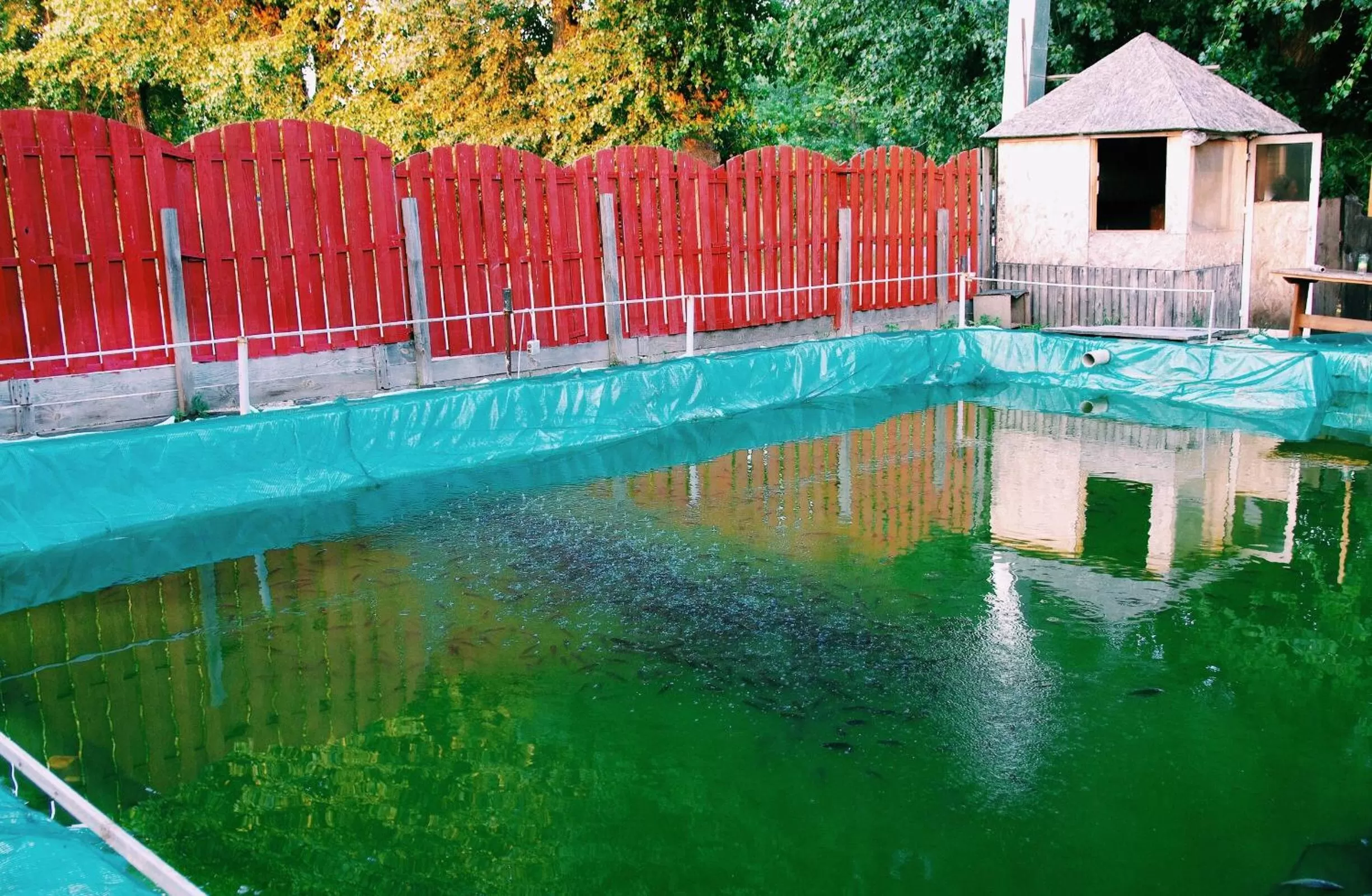 Hotel and Entertaiment Complex Vlada