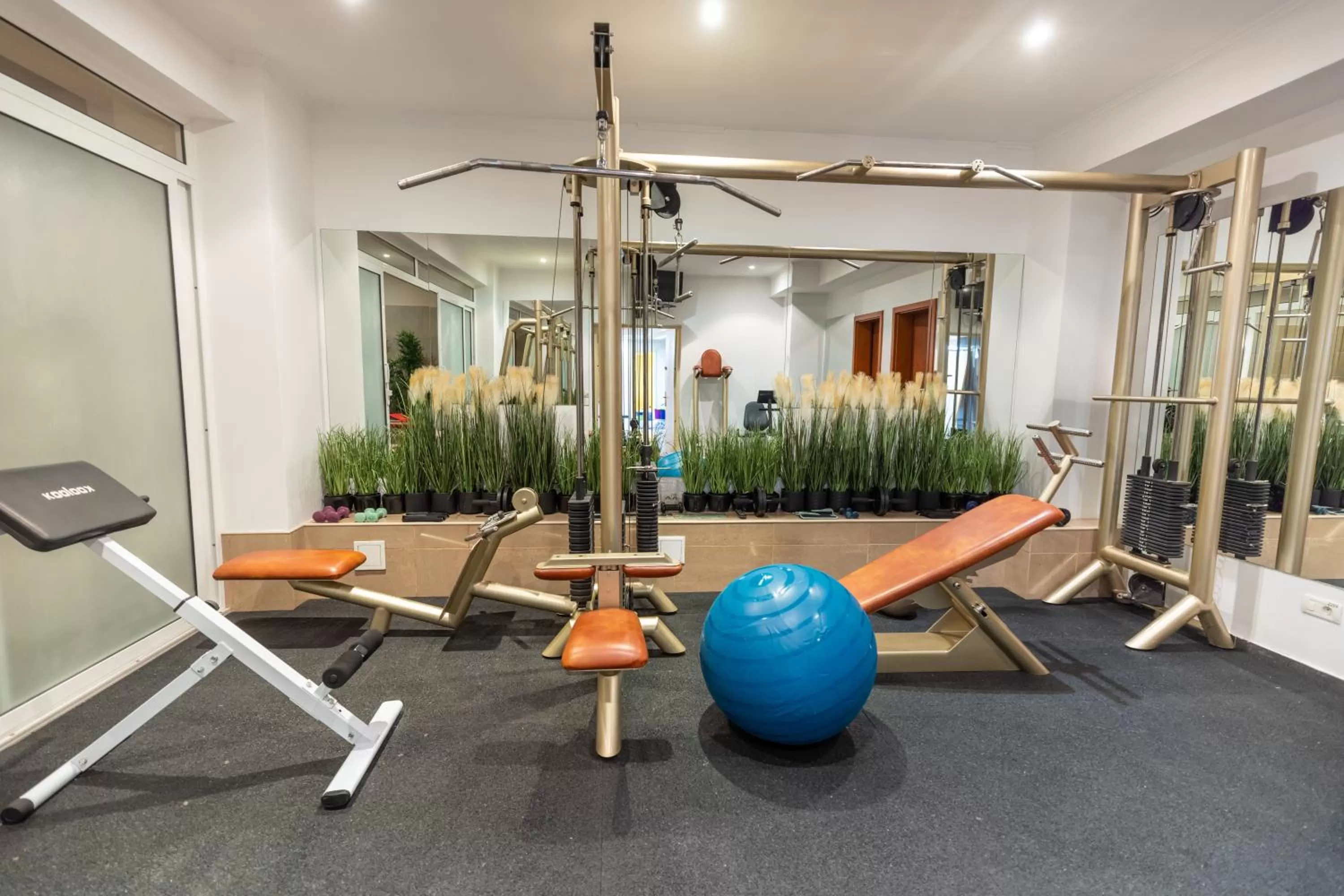 Spa and wellness centre/facilities in Hotel Sir Royal