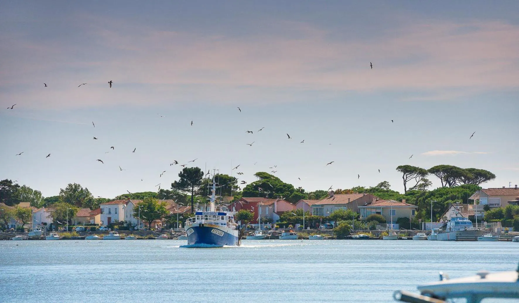 Nearby landmark in Hotel Grand Cap Rooftop Pool