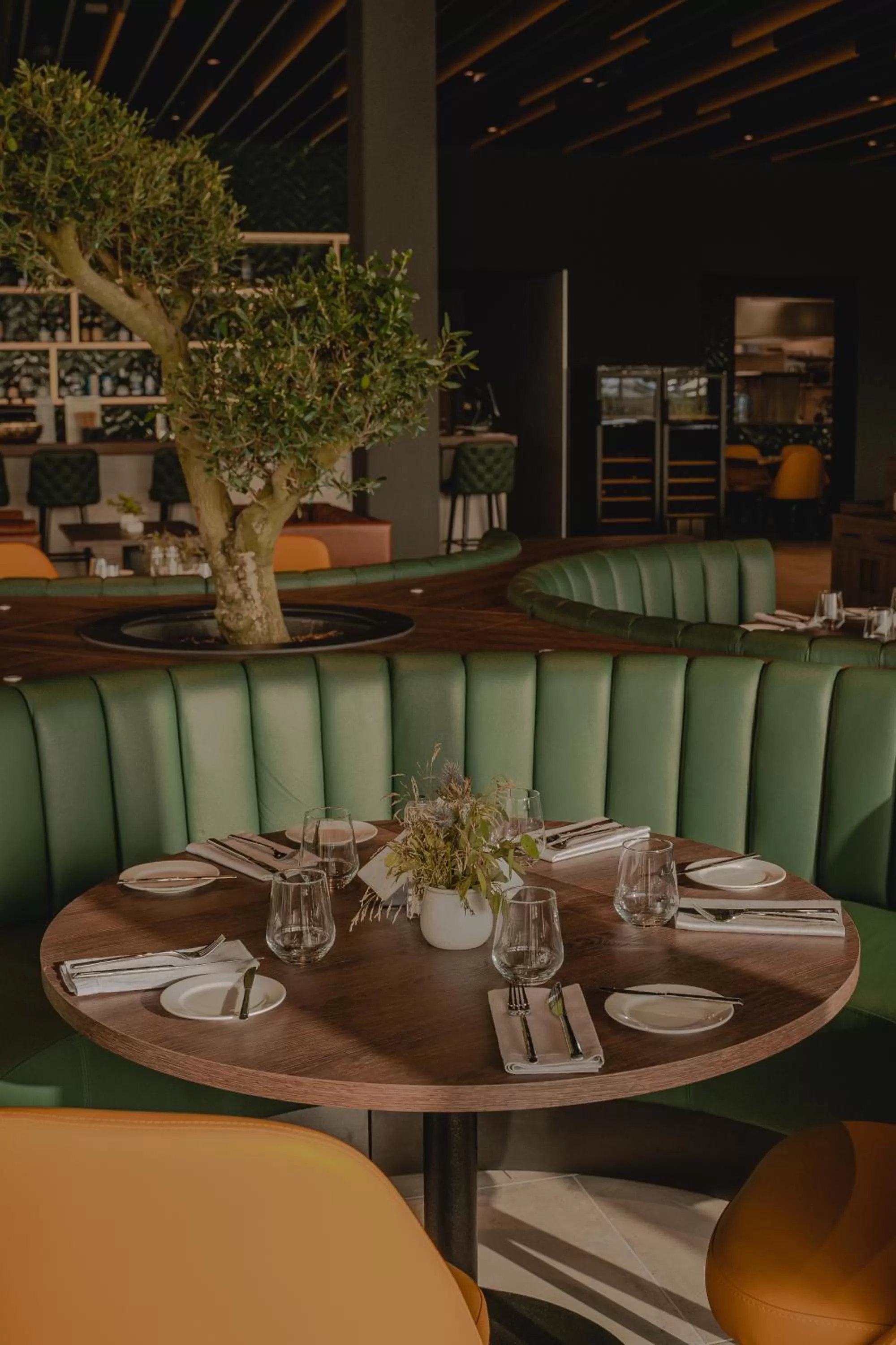 Restaurant/places to eat in mk hotel tirana