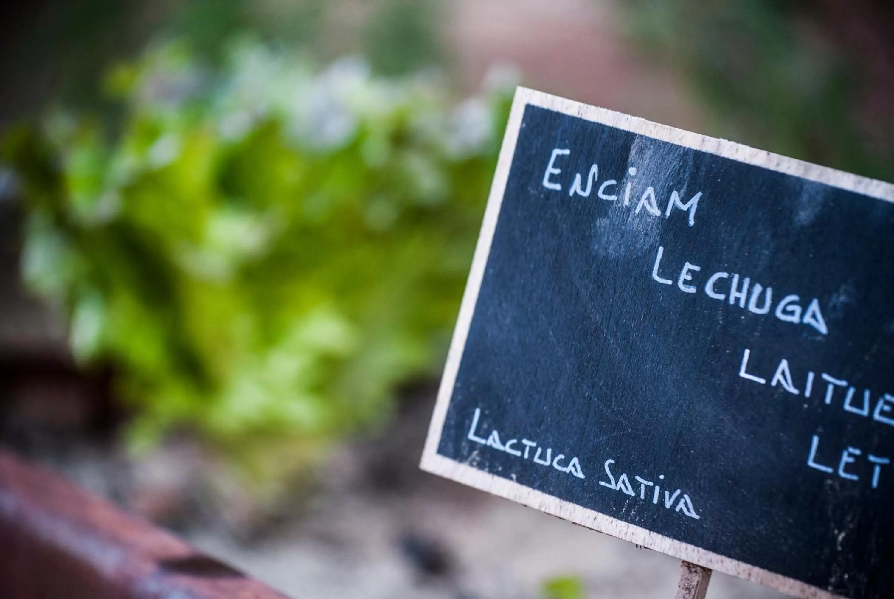 Property building in Mas Tapiolas