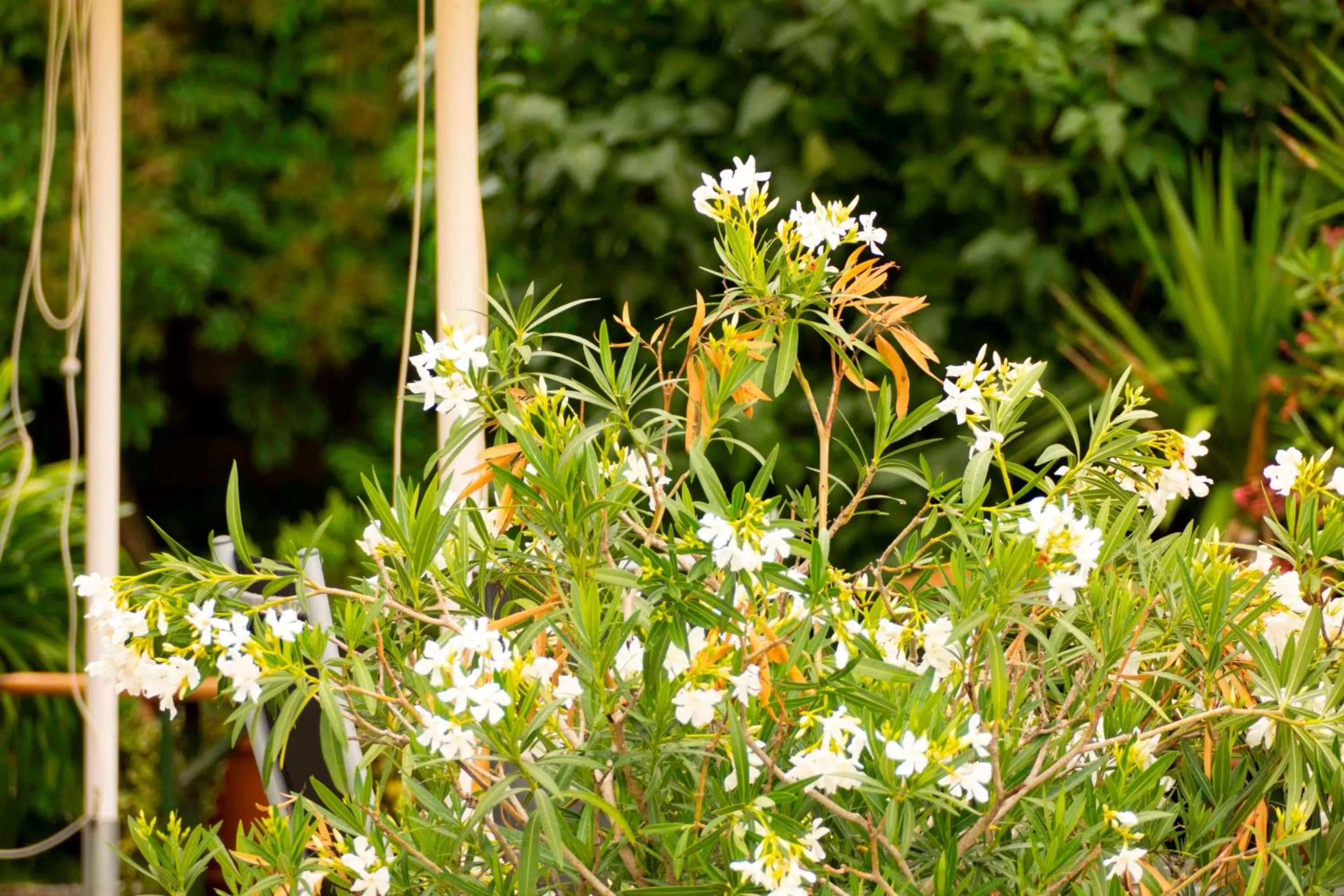 Natural landscape in Hotel Landgasthof Lell