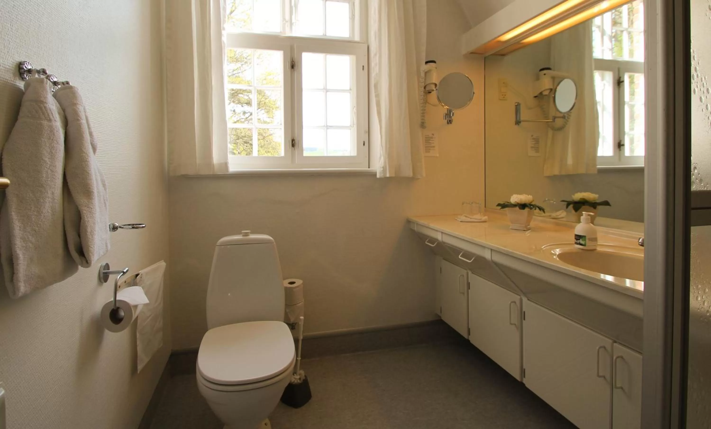 Toilet in Sophiendal Manor