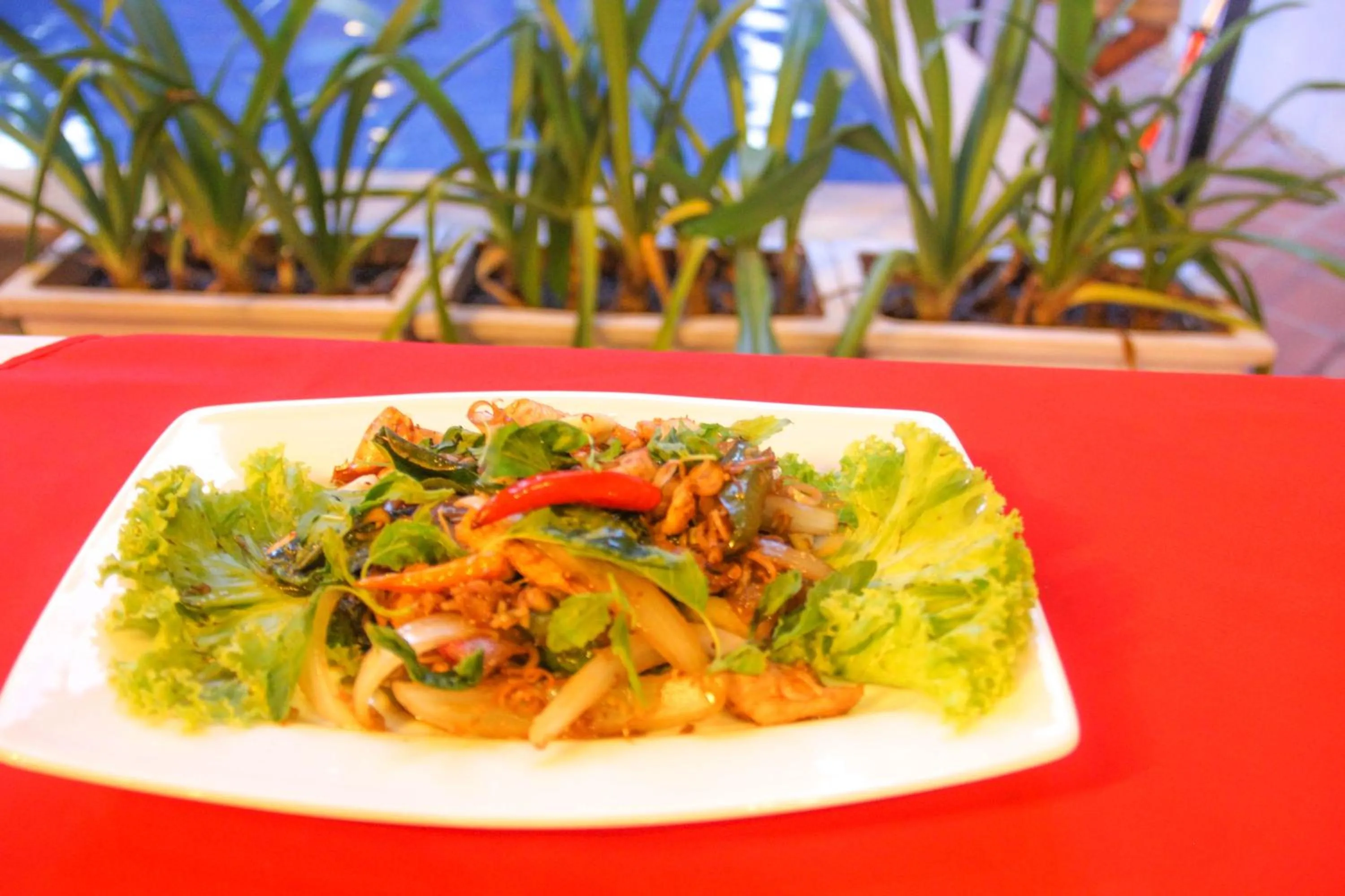 Lunch in Tropical Breeze