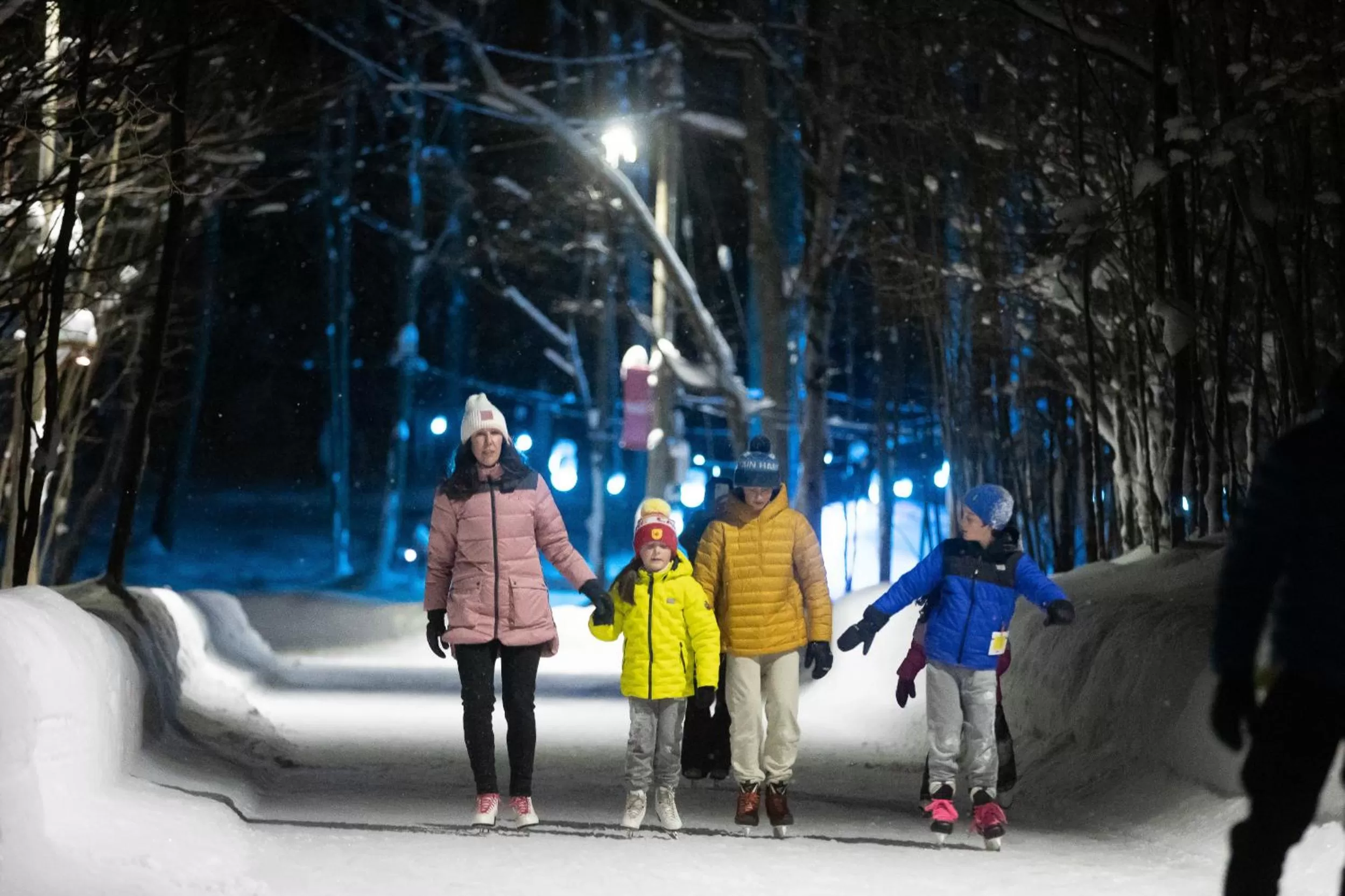 Night in Blue Mountain Resort Home Collection