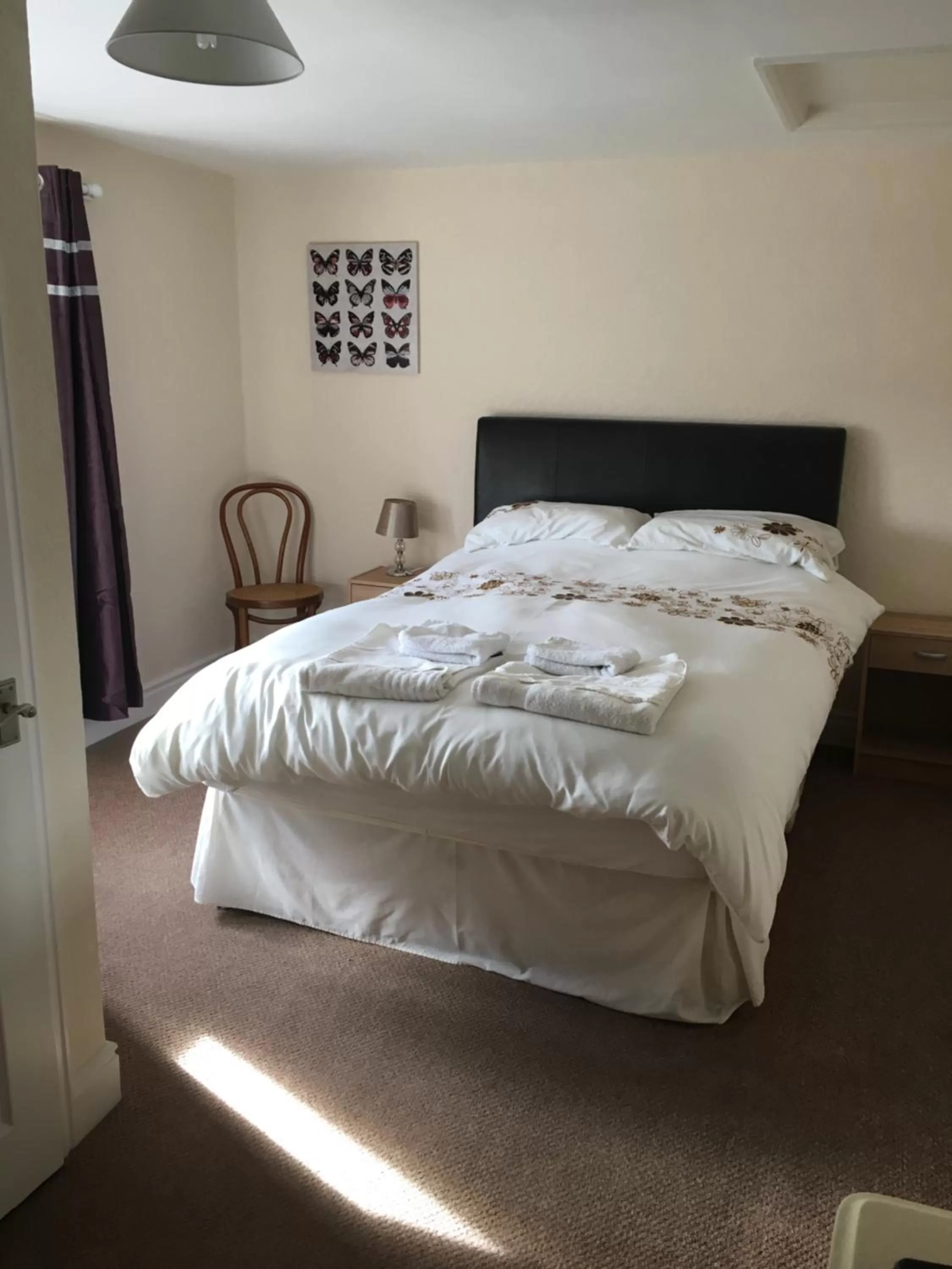 Photo of the whole room in The Buck Inn