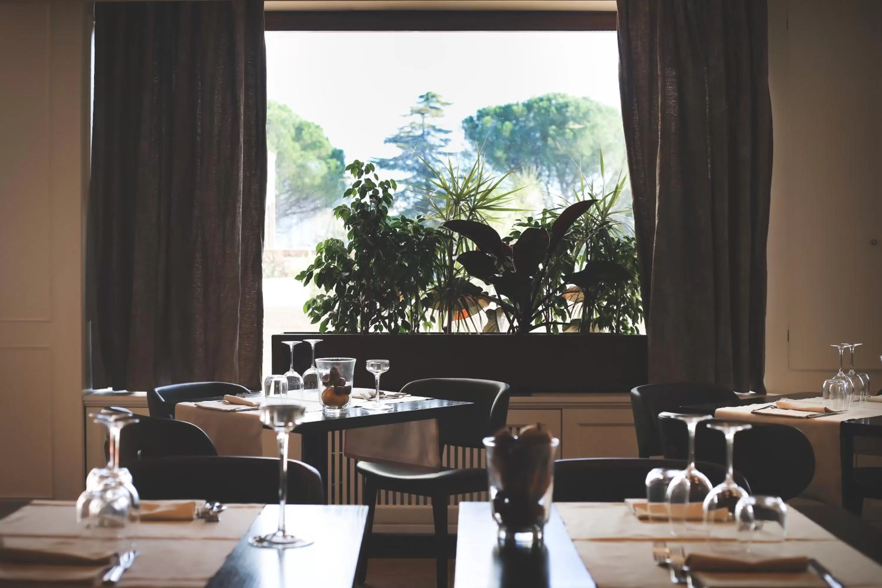 Restaurant/places to eat in Art Hotel Museo