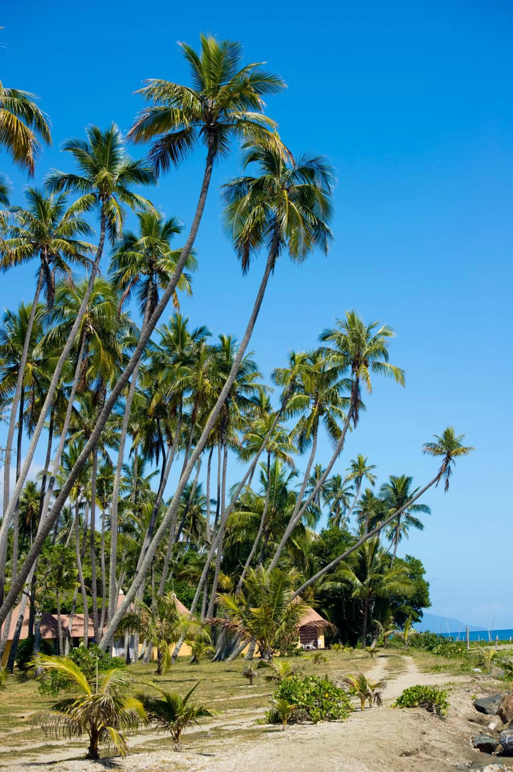 Garden in Hotel Koulnoue Village