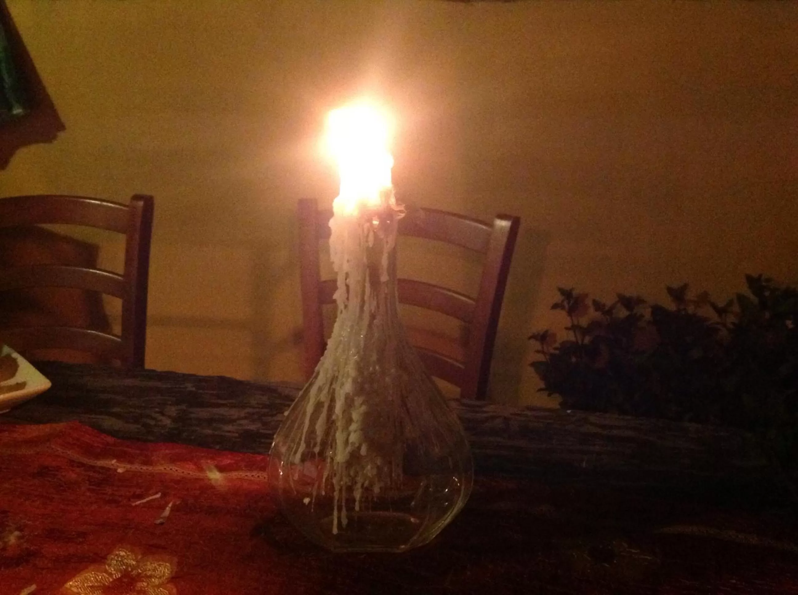 On site in Ulivo Rosso