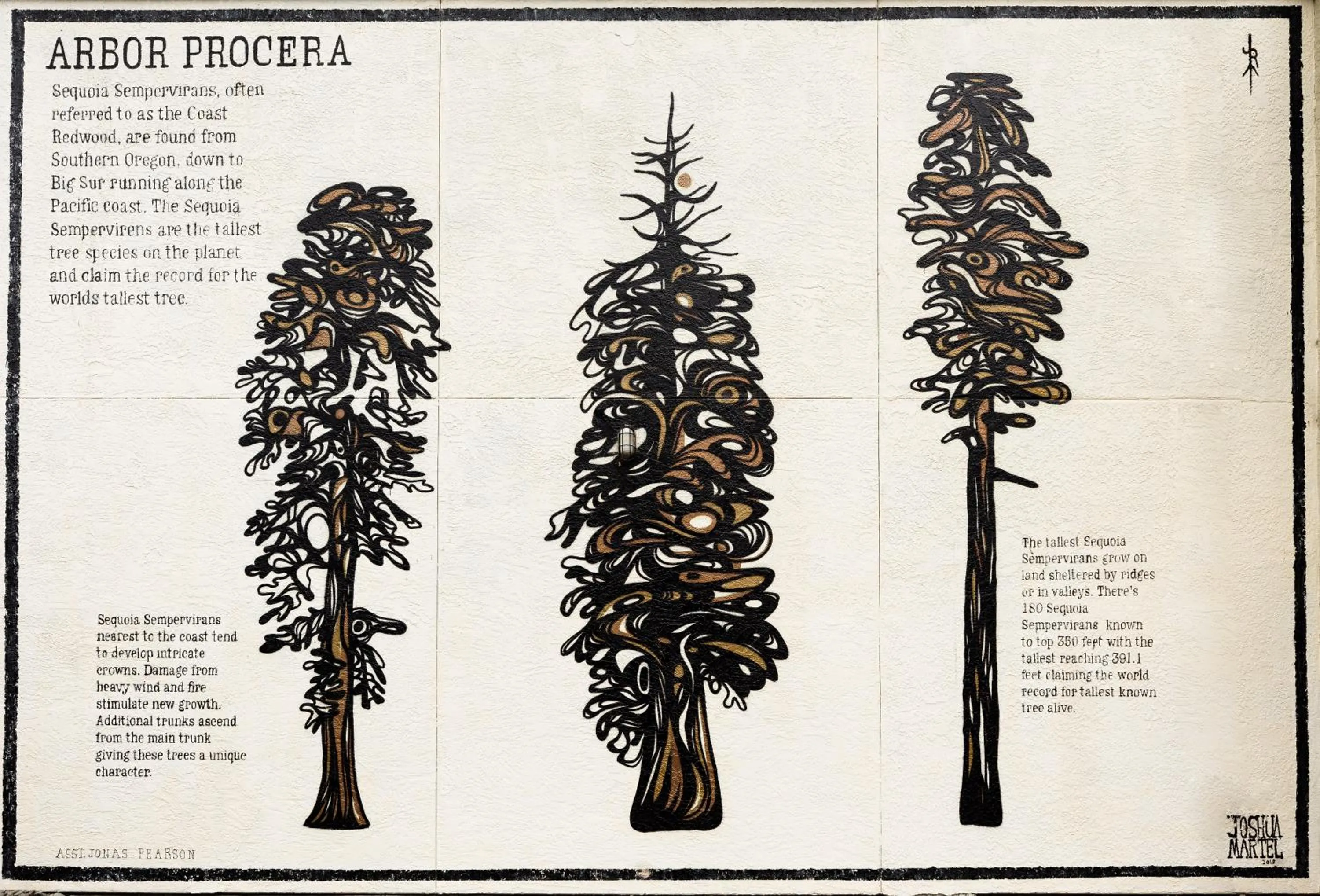 Property building in The Redwood Riverwalk, a boutique hotel