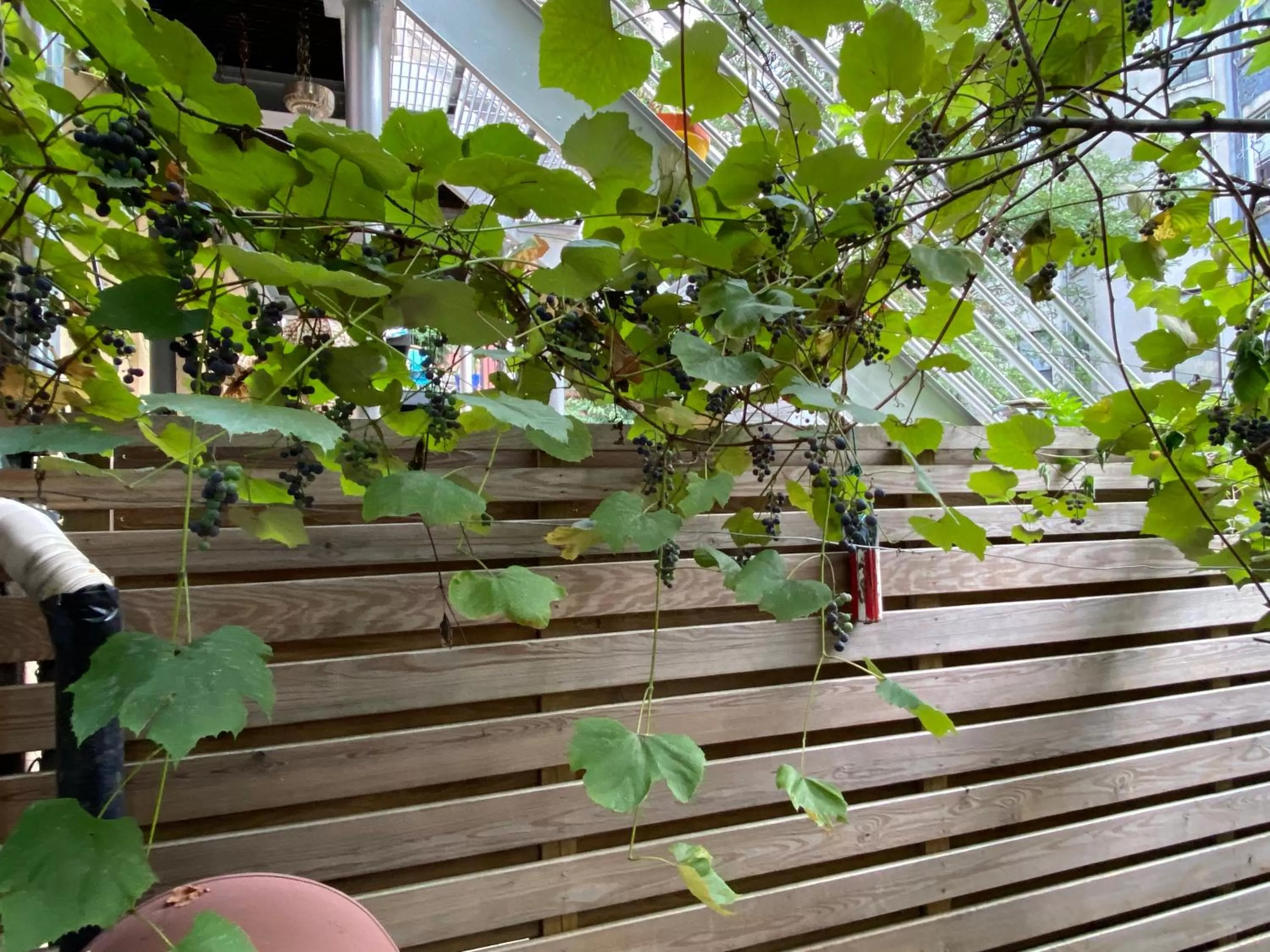 Property building in Northern Lights Mansion