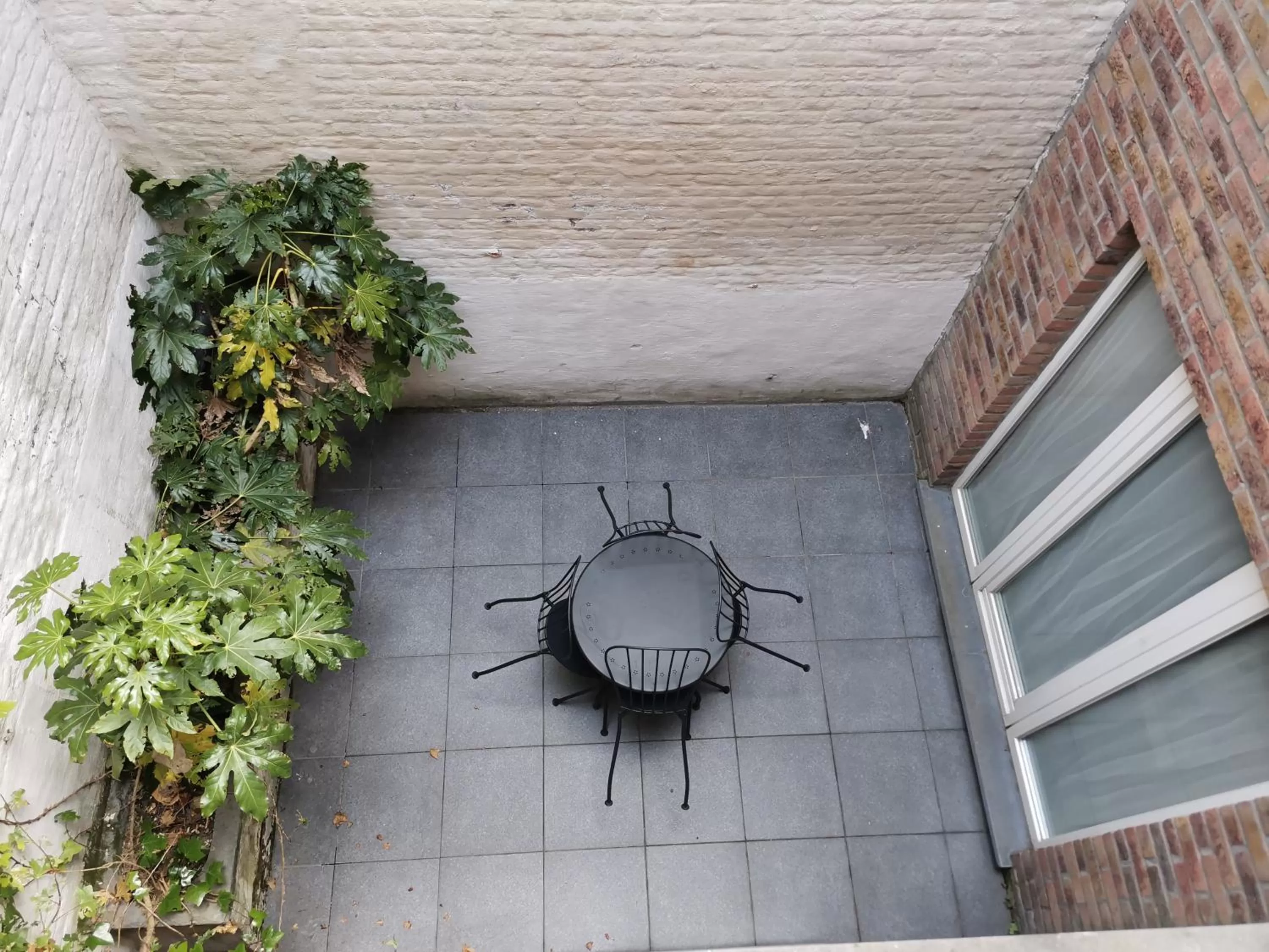 Garden in Hotel de Flandre Ghent