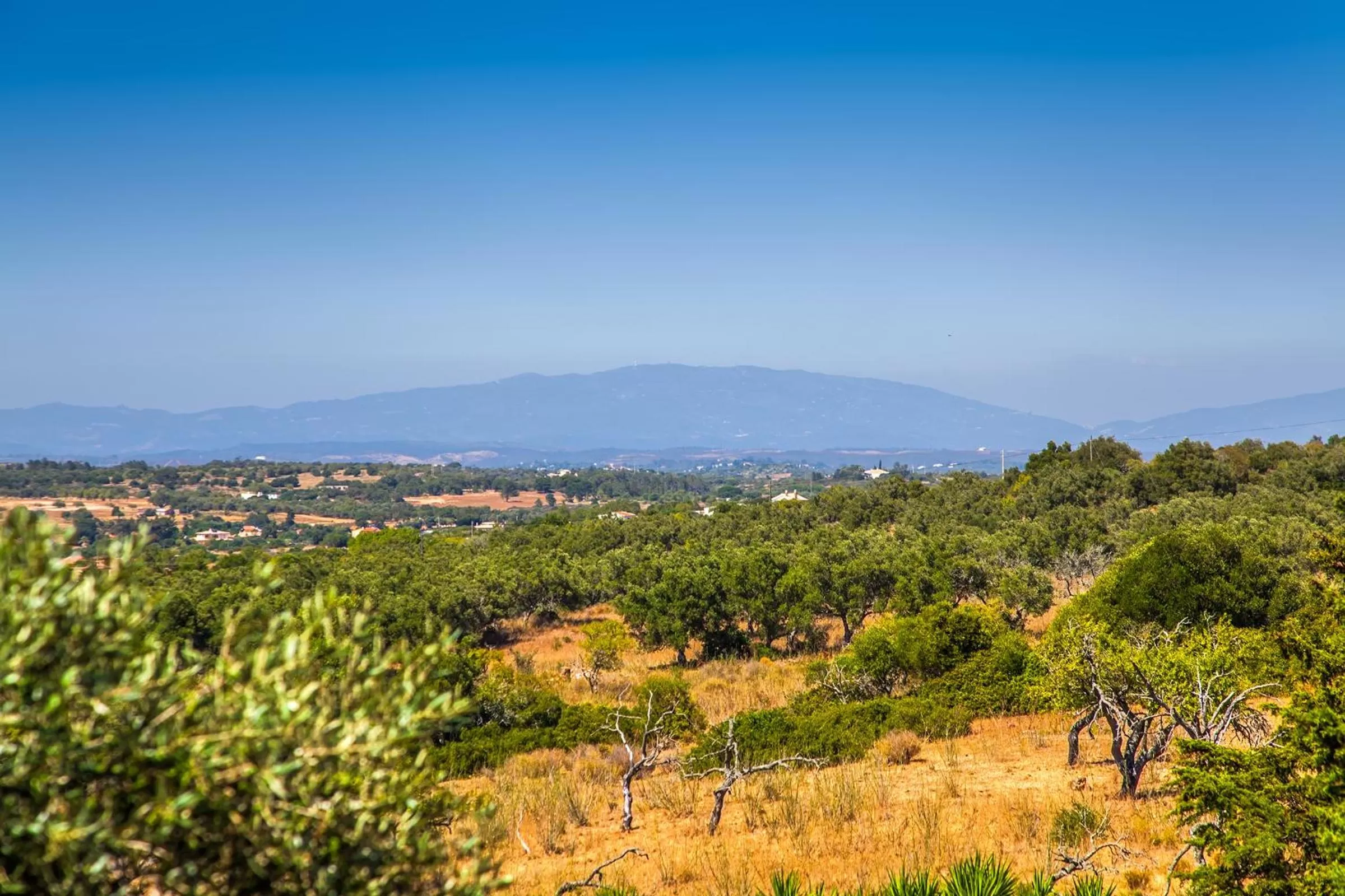 View (from property/room) in Montinho De Ouro