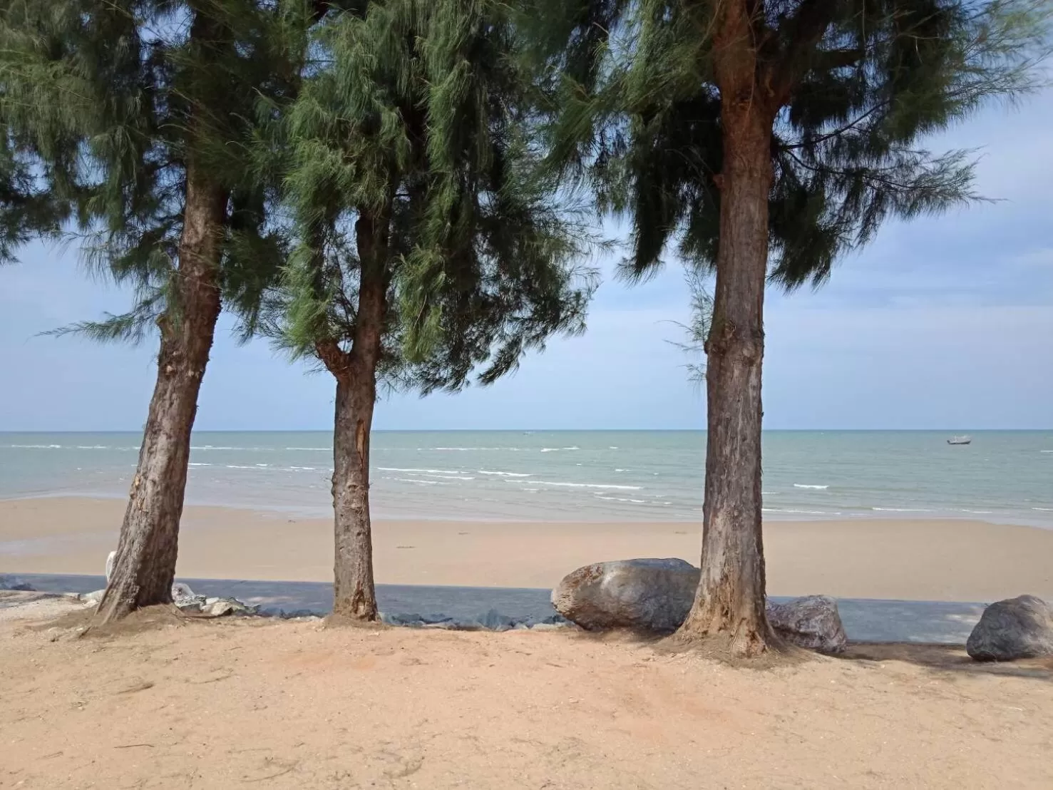 Beach in BC Summer Beach