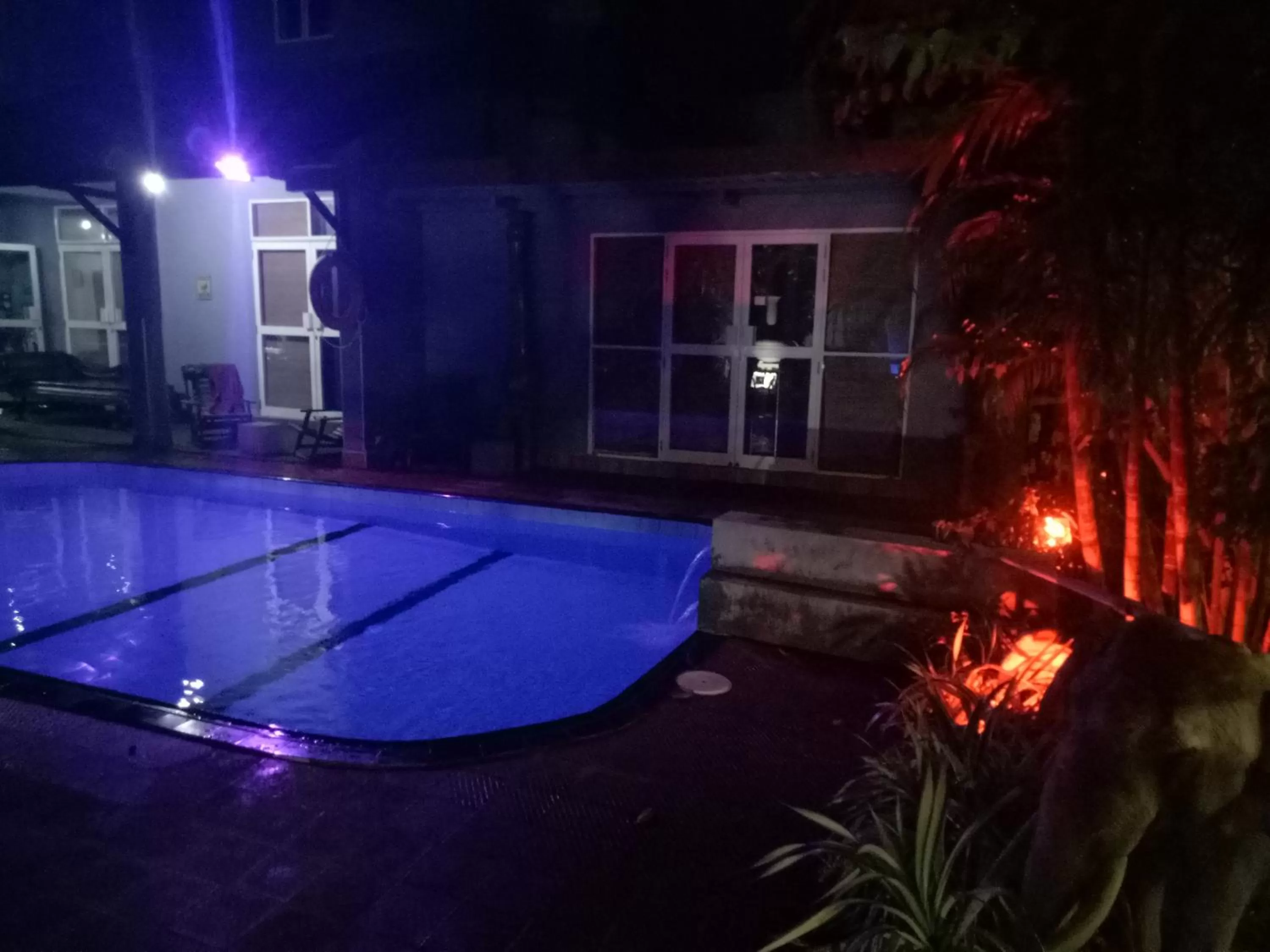 Swimming pool in Palms Villa