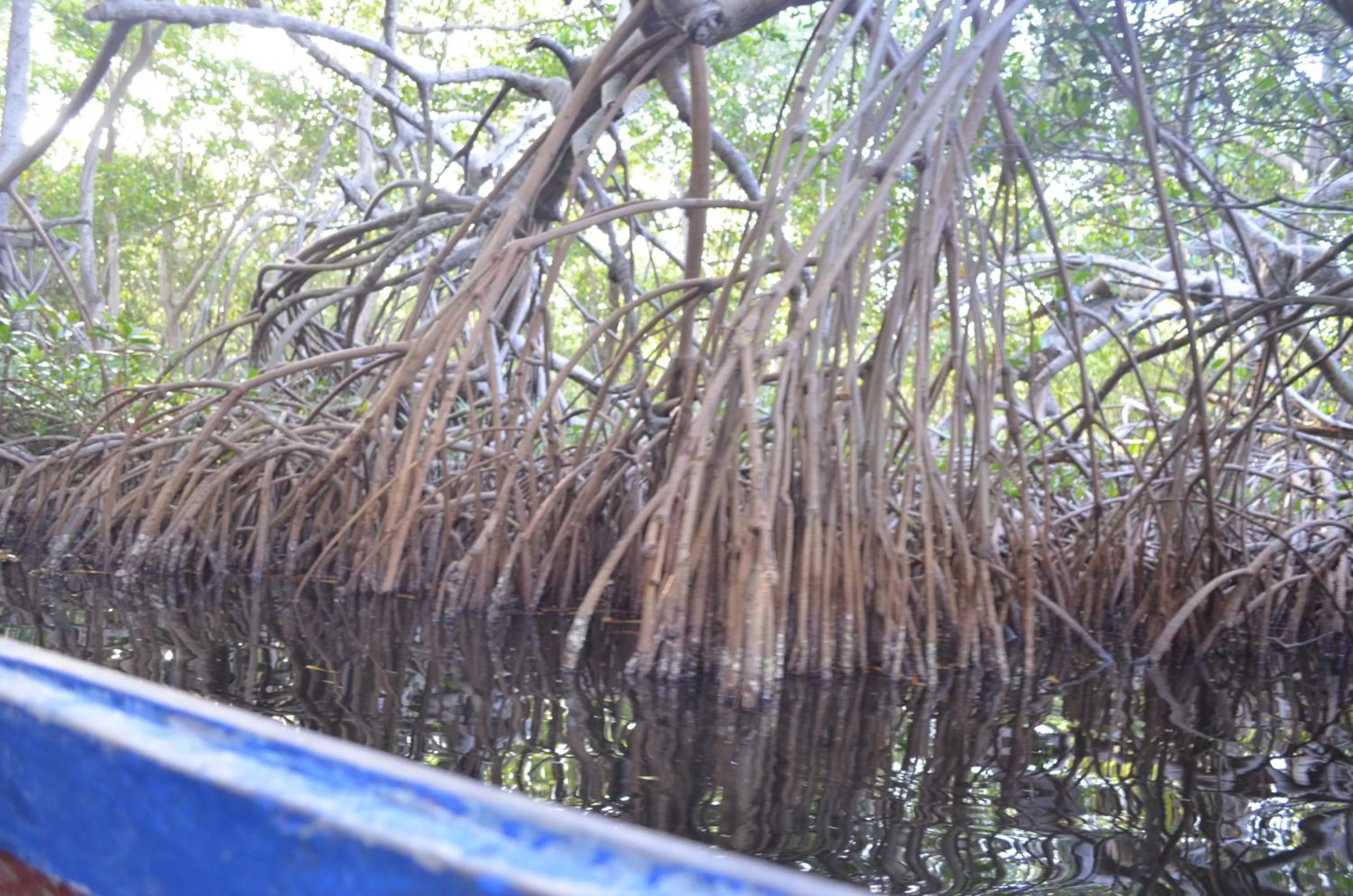 Activities, Swimming Pool in Hotel Costa Mar Coveñas