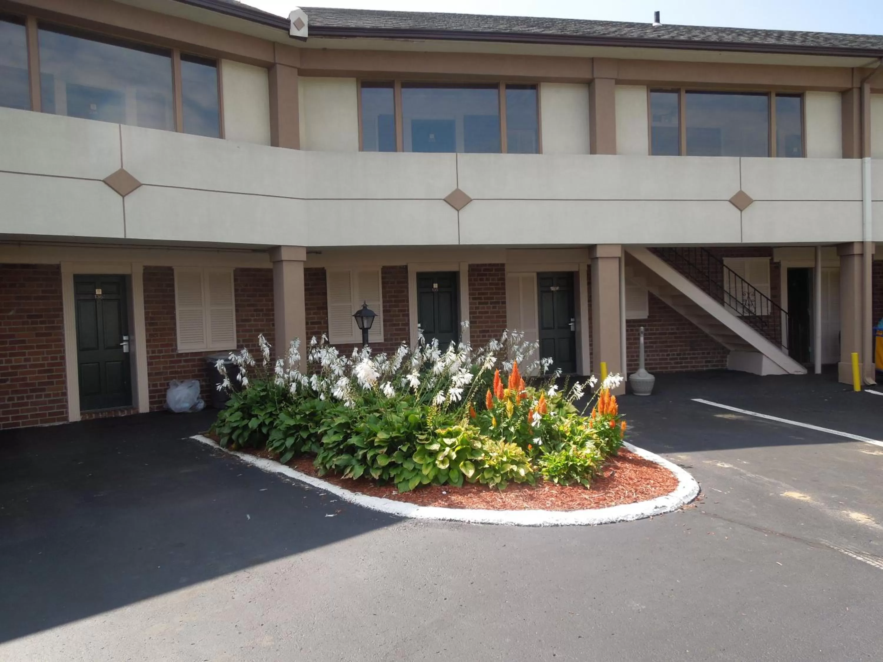 Spring in Knights Inn Bristol