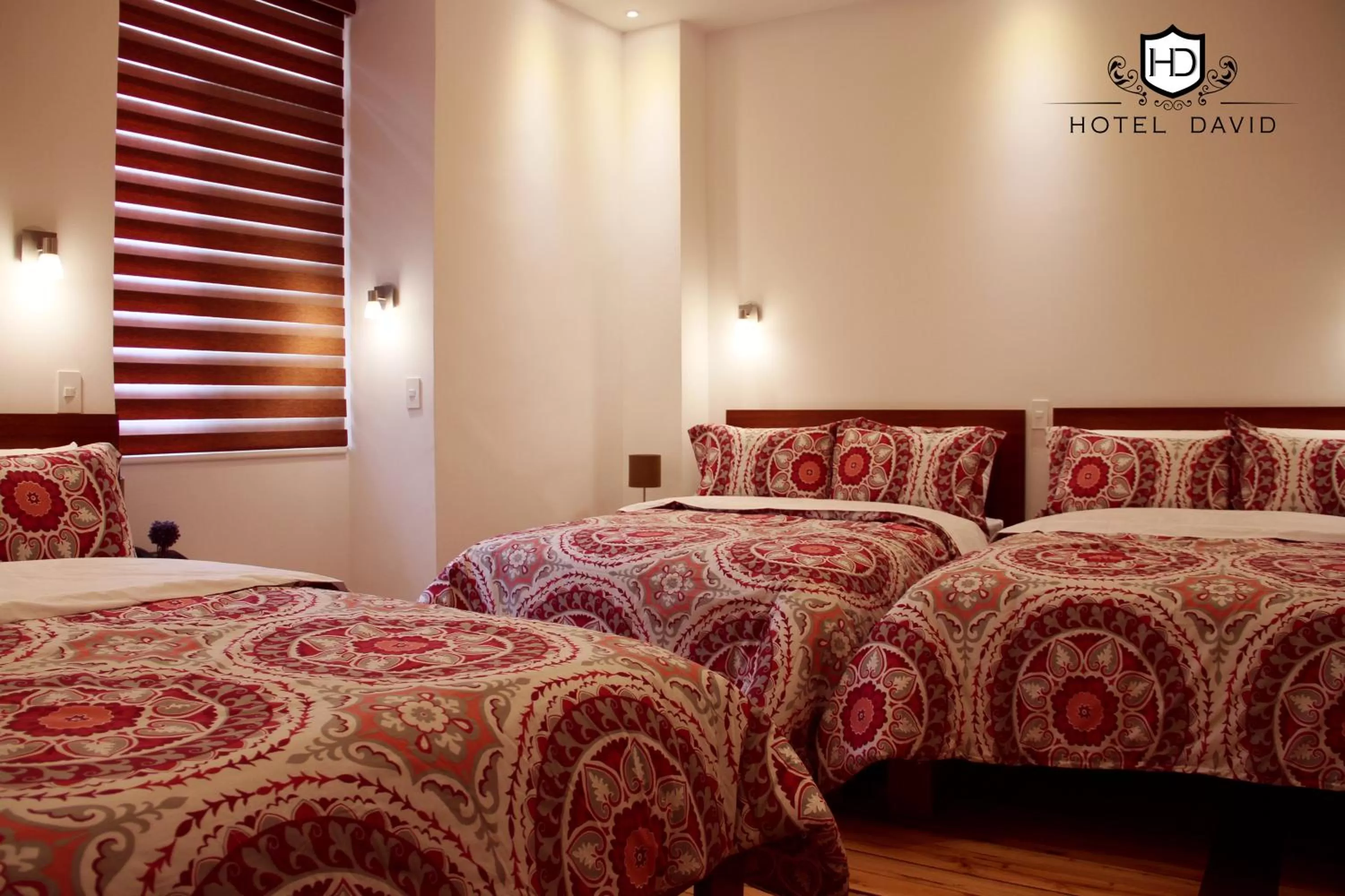 Photo of the whole room, Bed in Hotel David