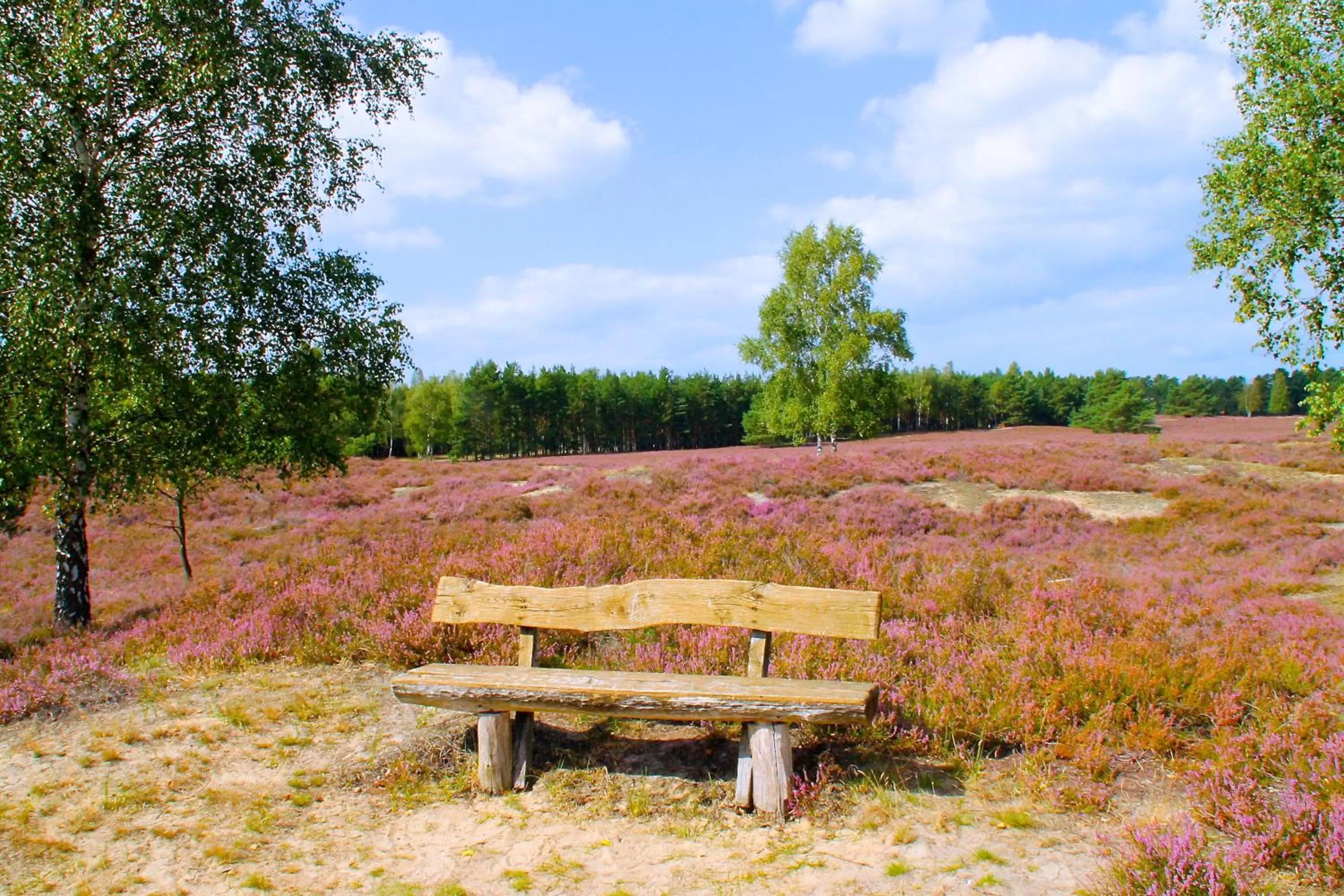 Hiking in Akzent Hotel Berlin