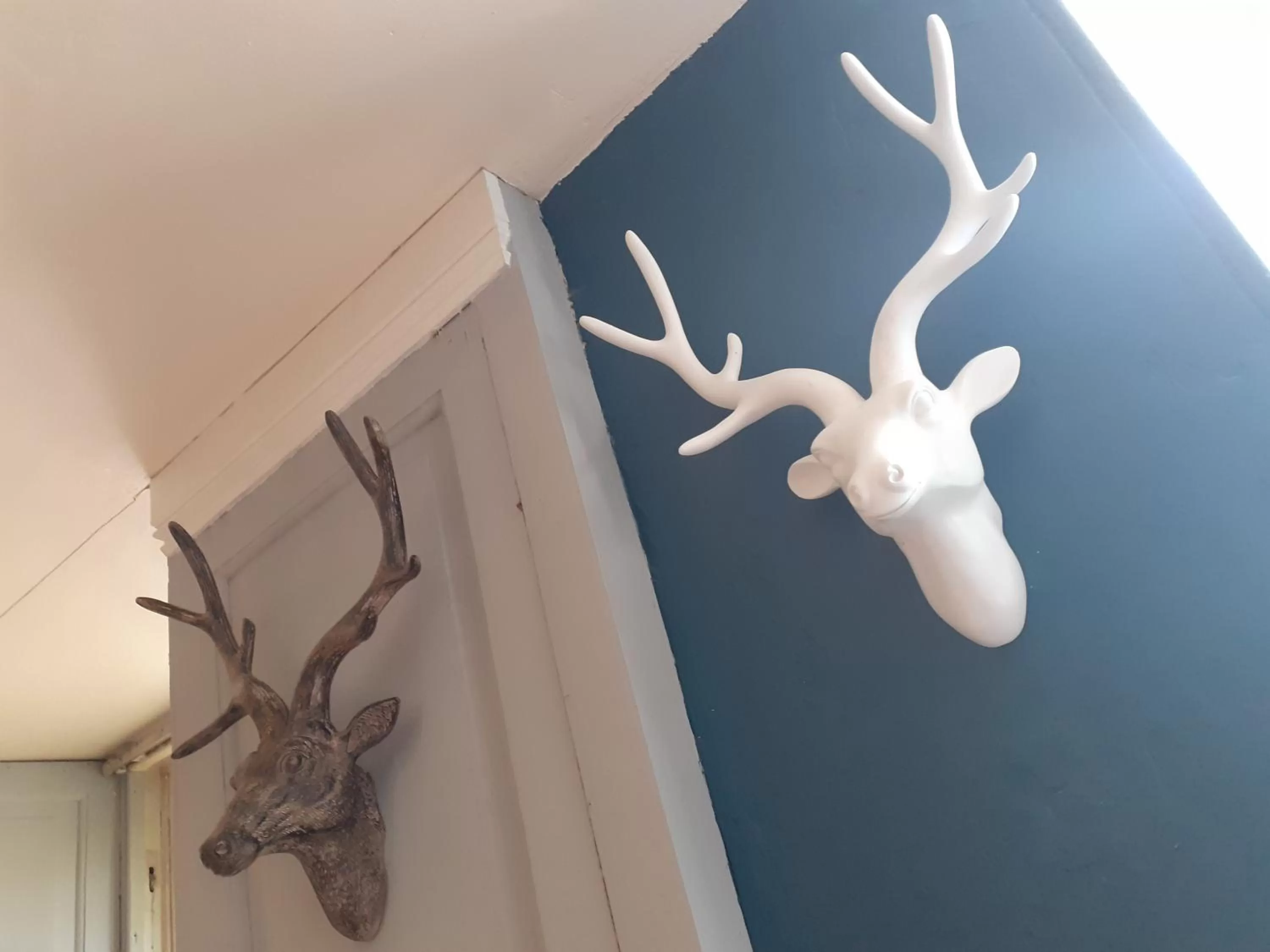 Restaurant/places to eat in The Barge Inn