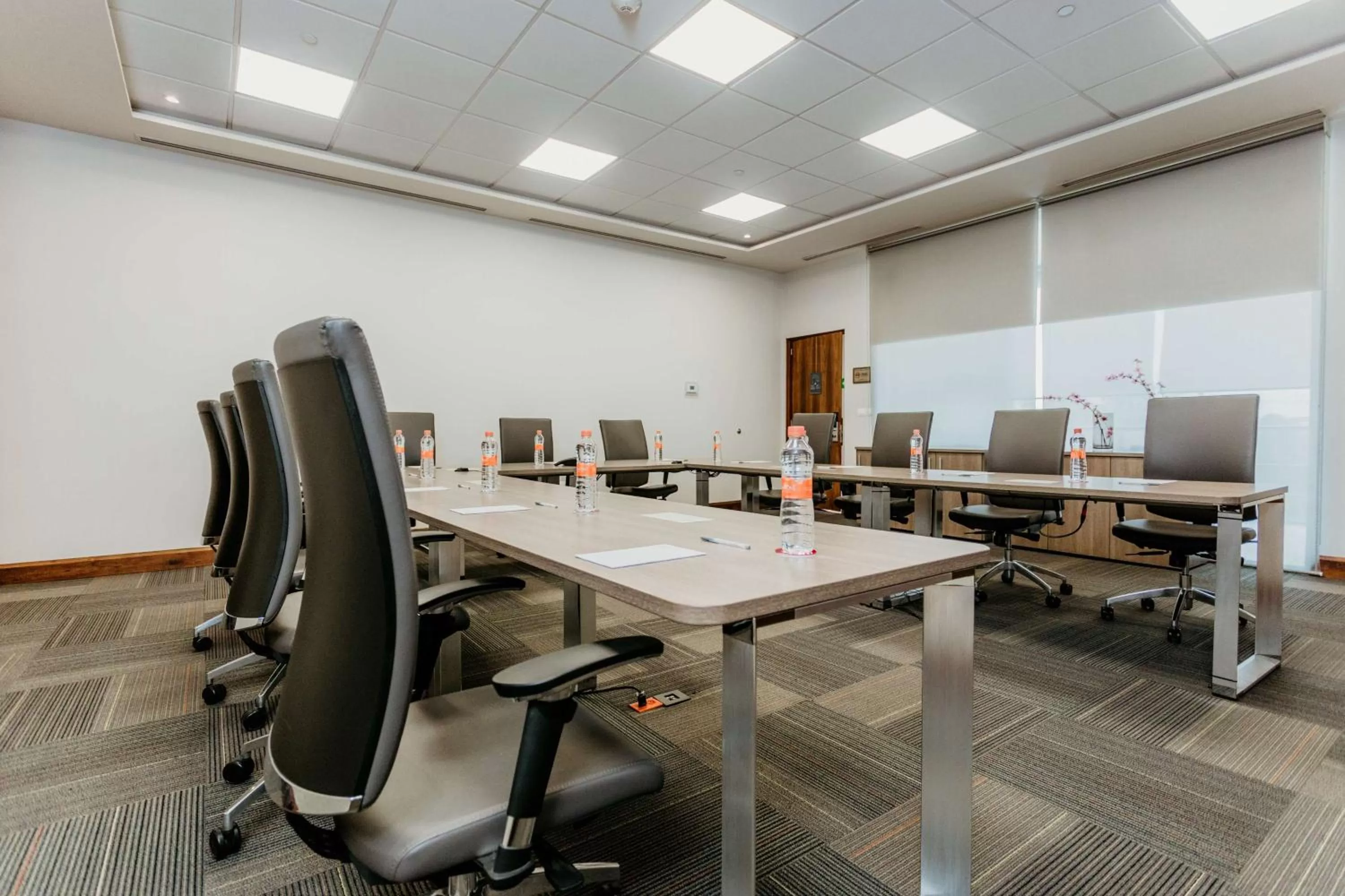 Meeting/conference room in Hilton Garden Inn Silao Aeropuerto Bajio