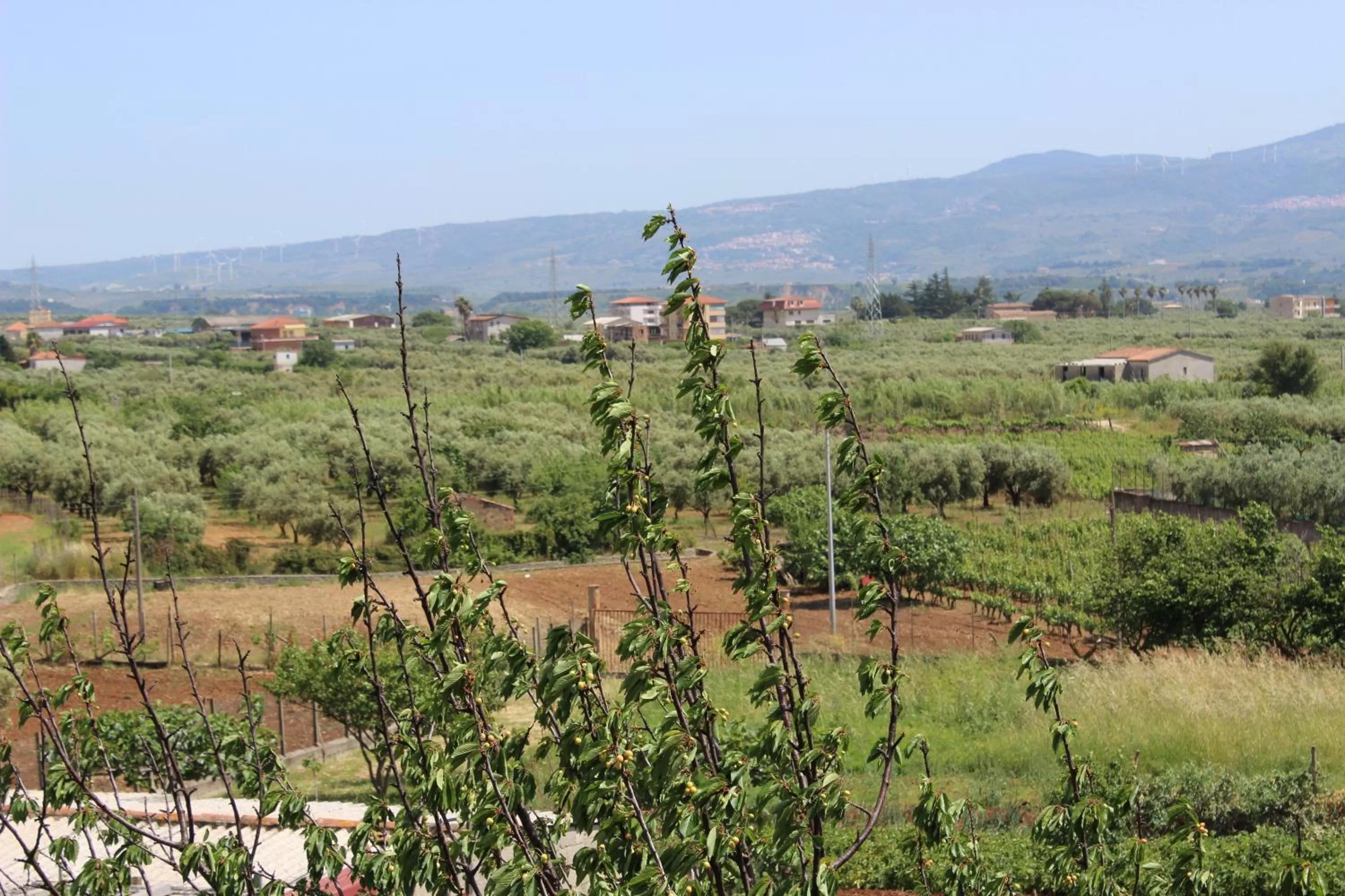 Natural landscape in B&B La Vigna