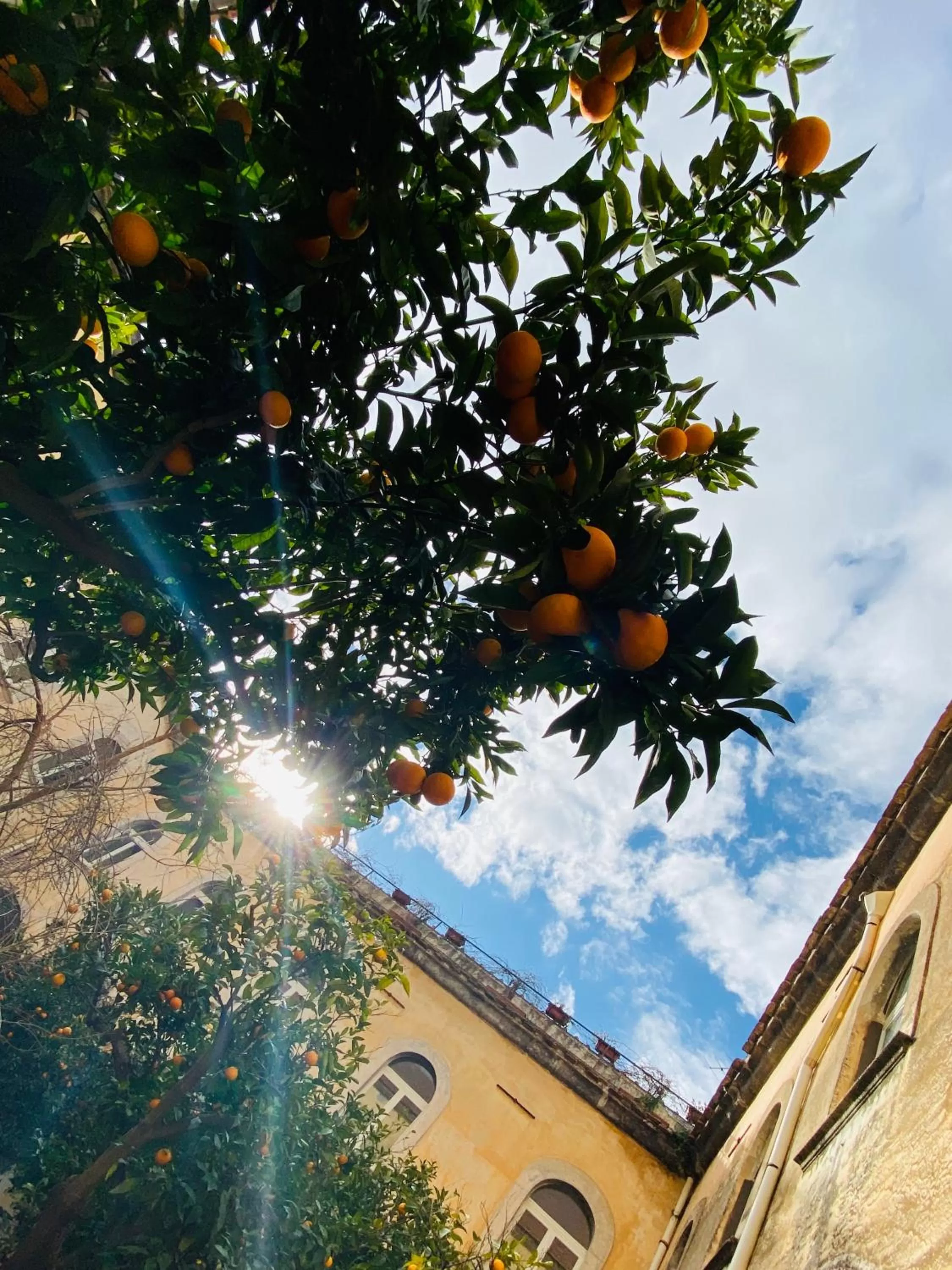 Patio in Il Chiostro