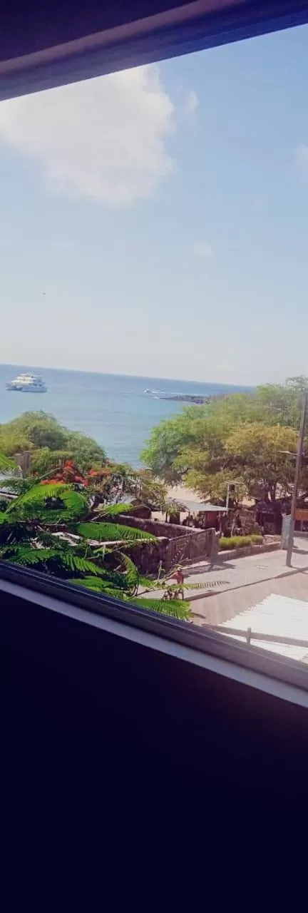 Hostal Cabañas Don Jorge