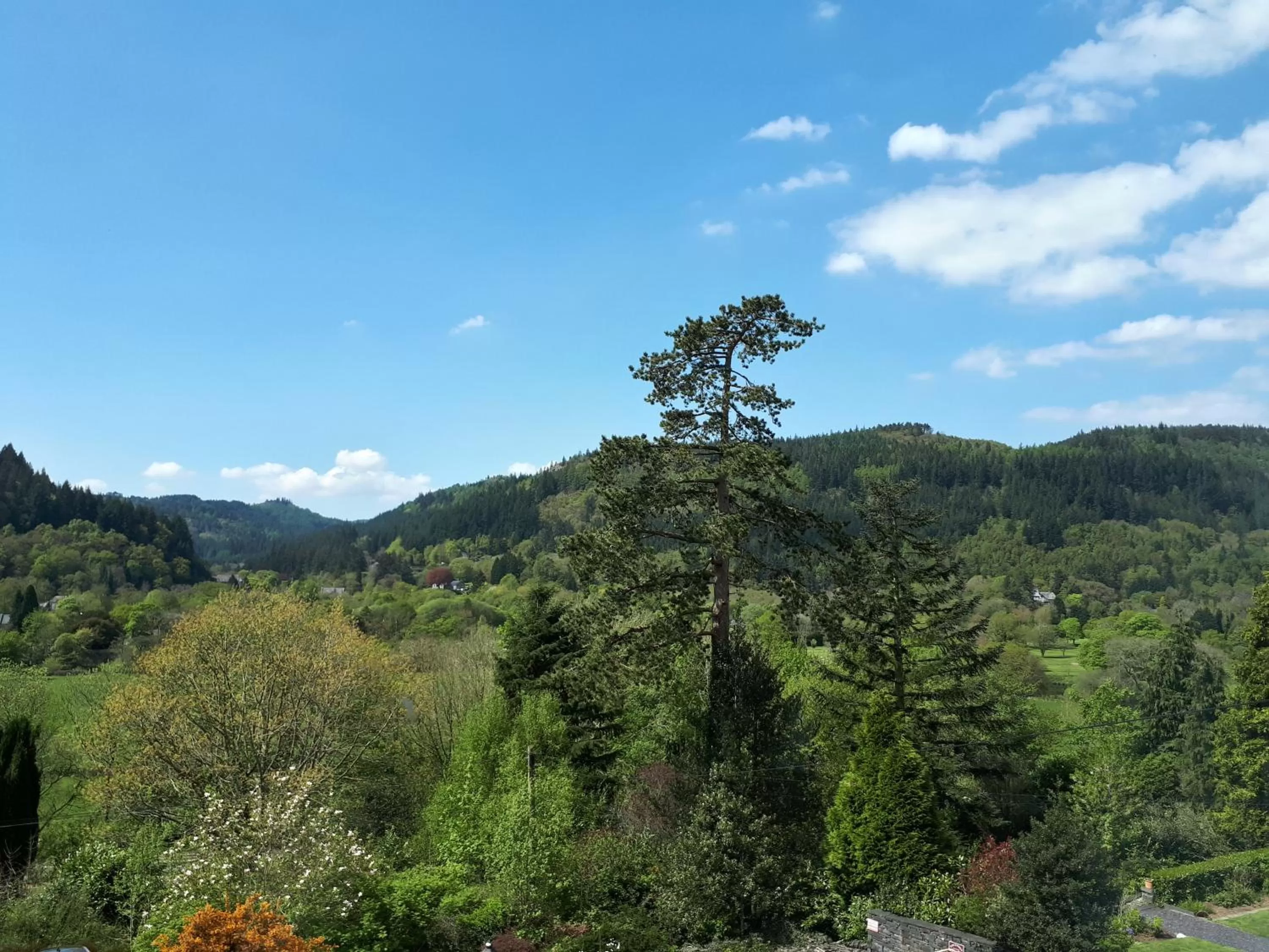 On site in Aberconwy House B&B