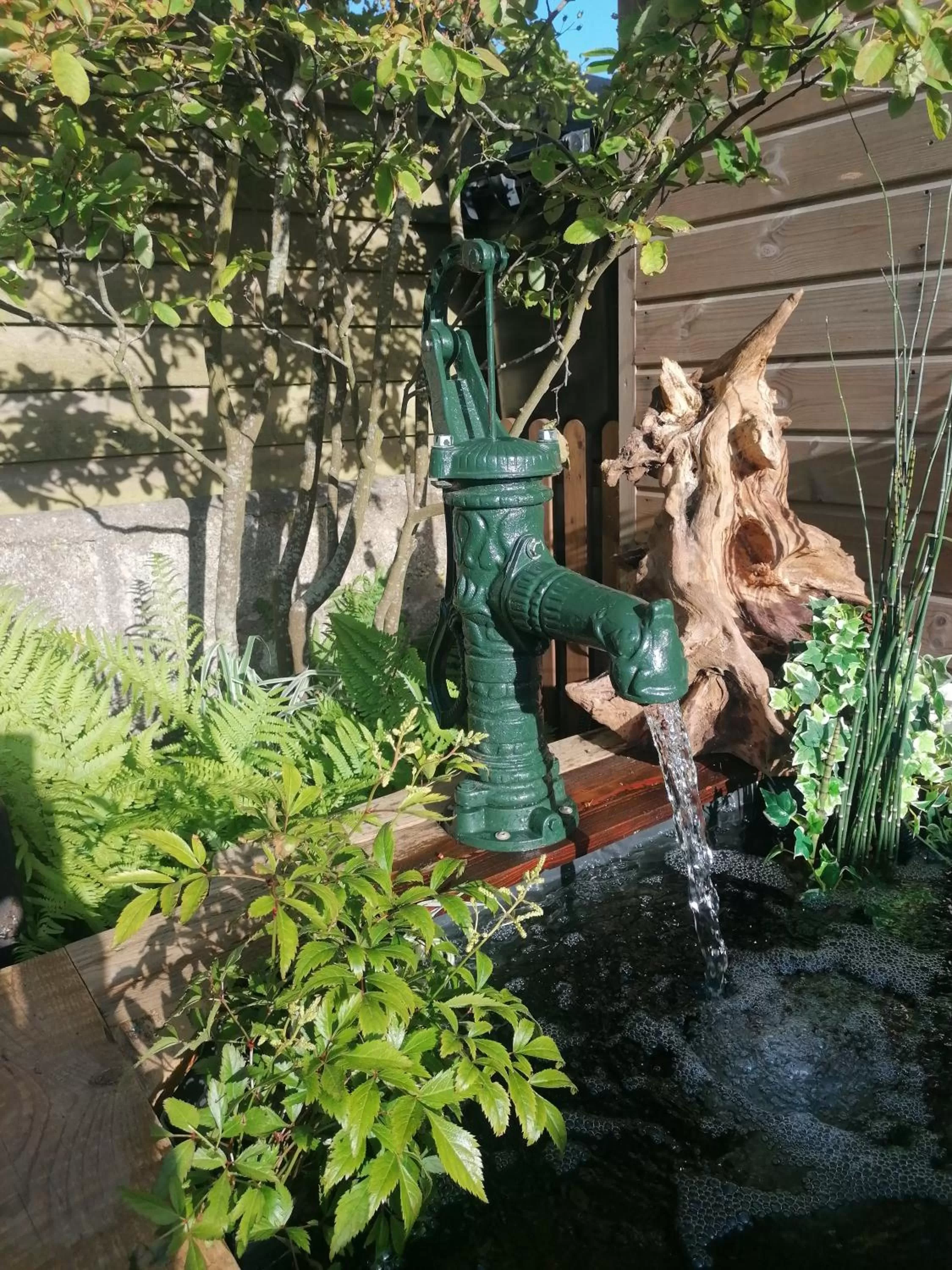 Garden in Pensalda Guest House