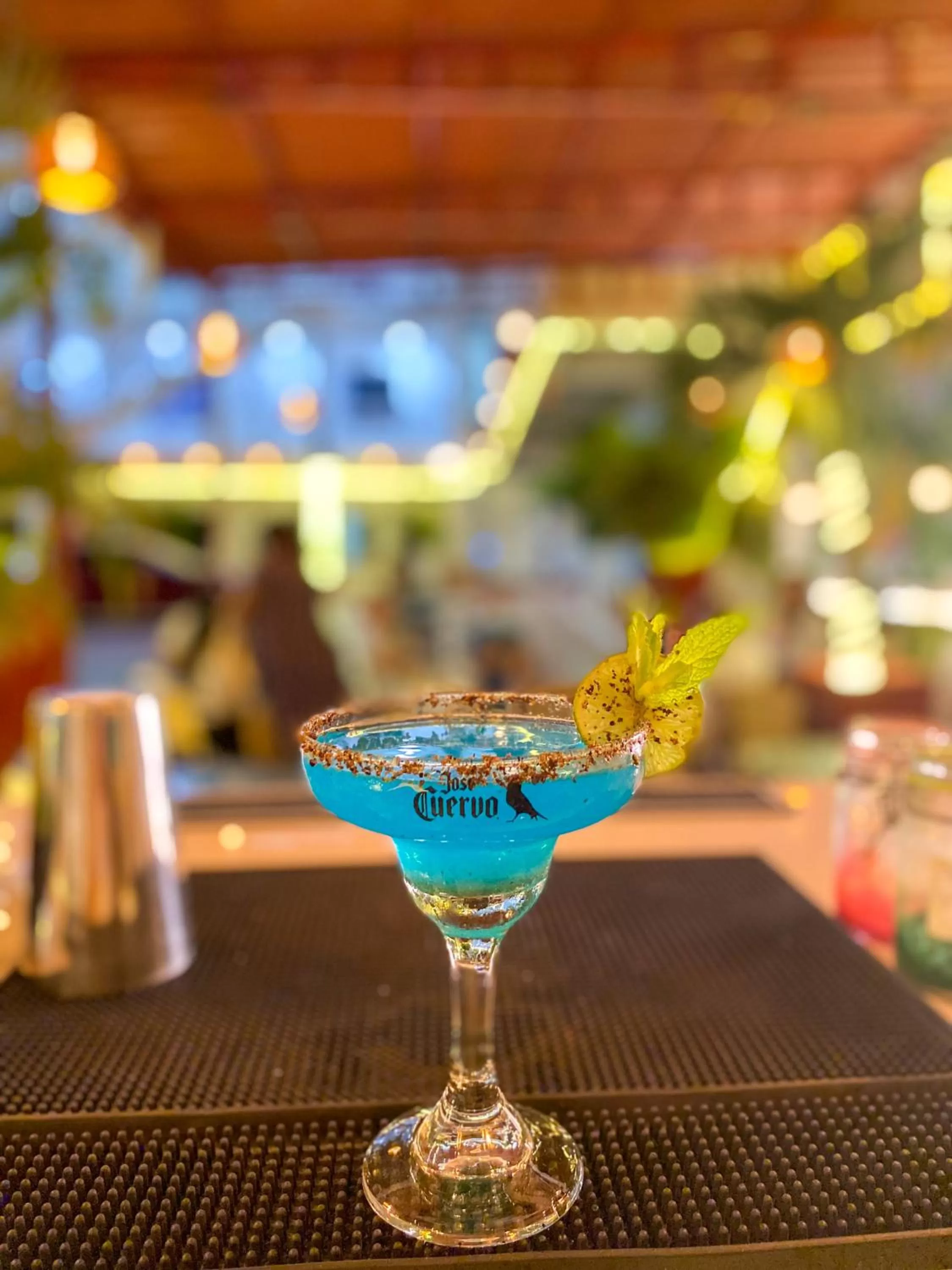 Nightclub / DJ in Hotel Bello Caribe