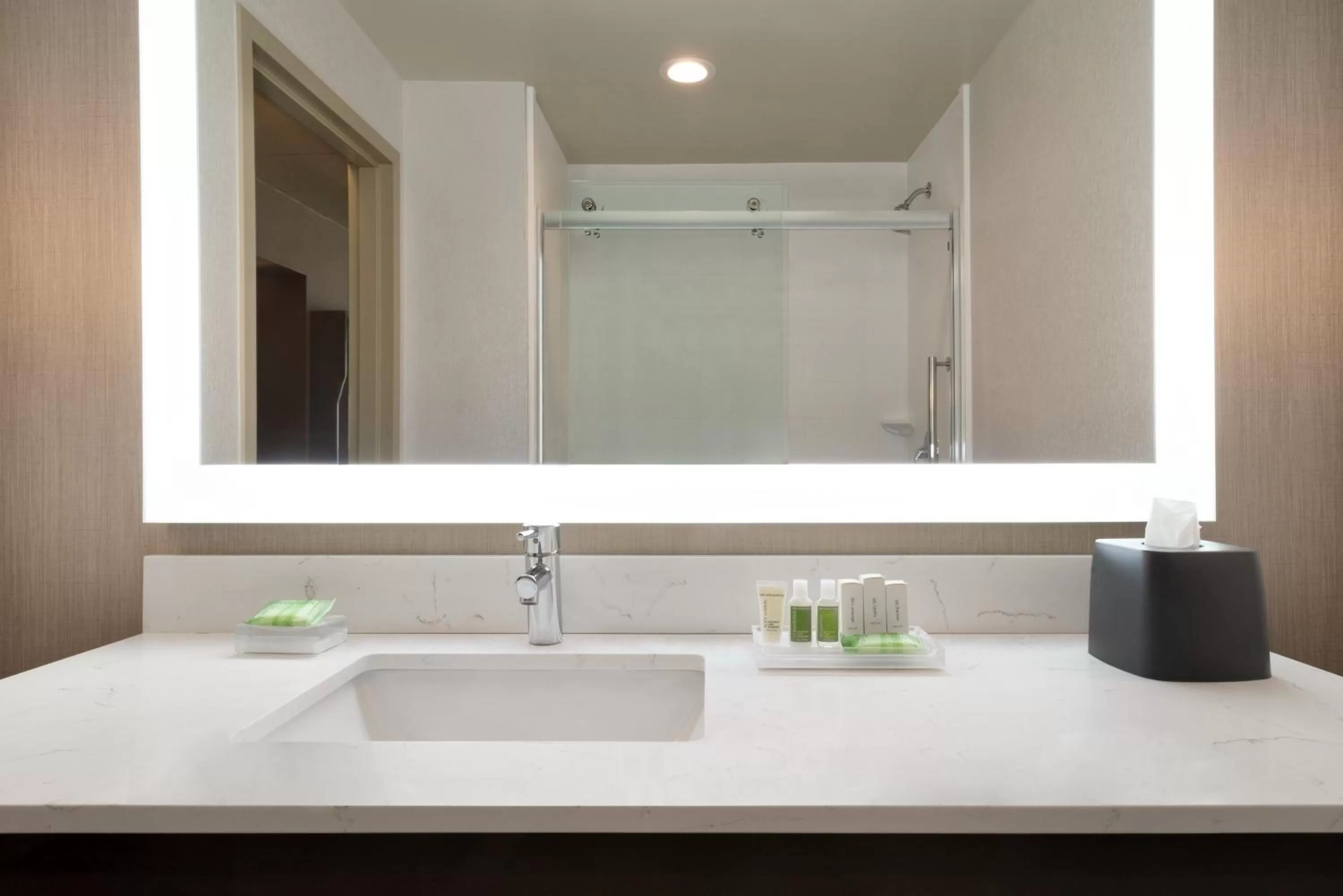 Bathroom in Holiday Inn Hotel & Suites Council Bluffs by IHG
