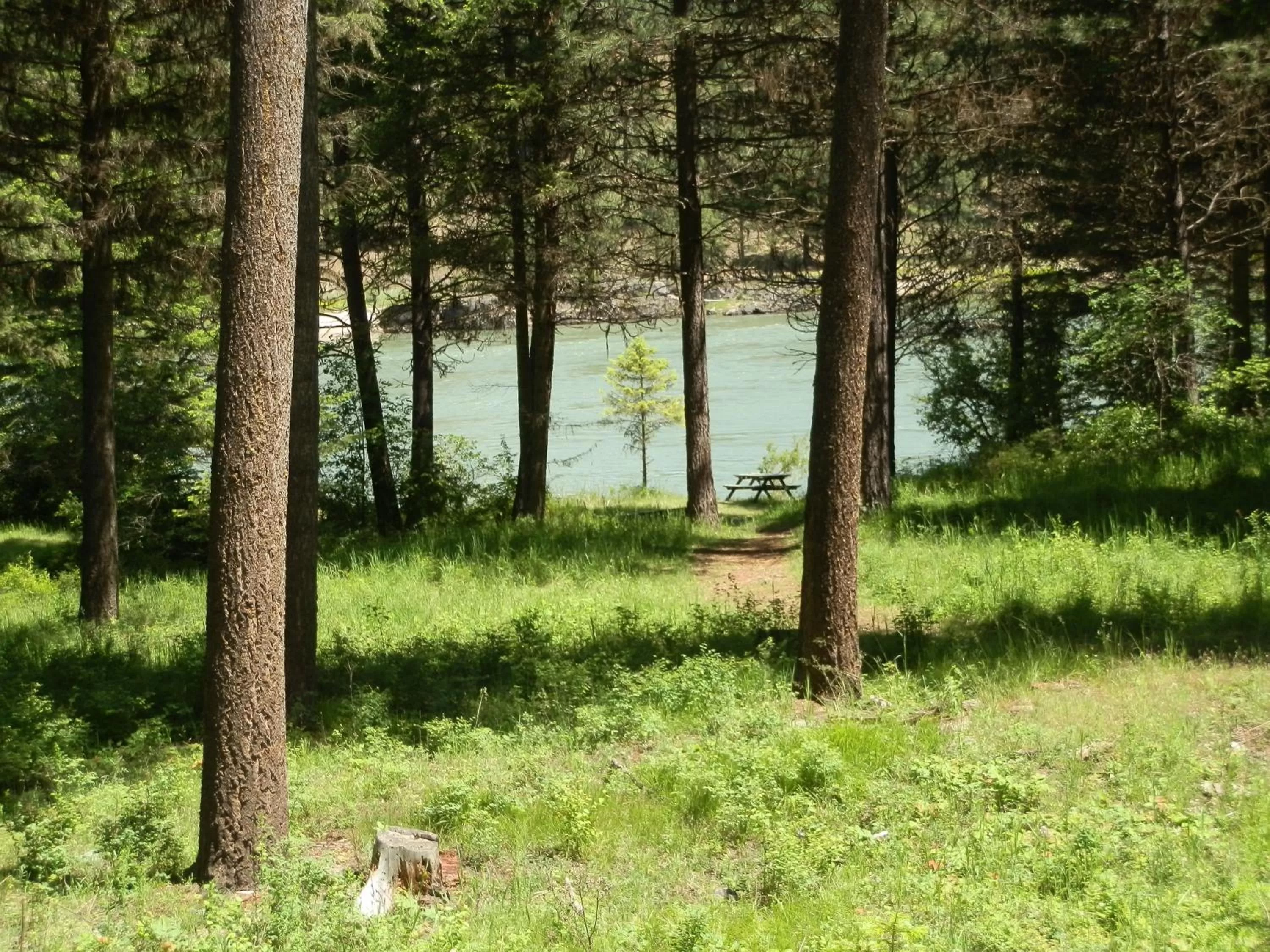 Area and facilities in Riverfront Motel & Cabins