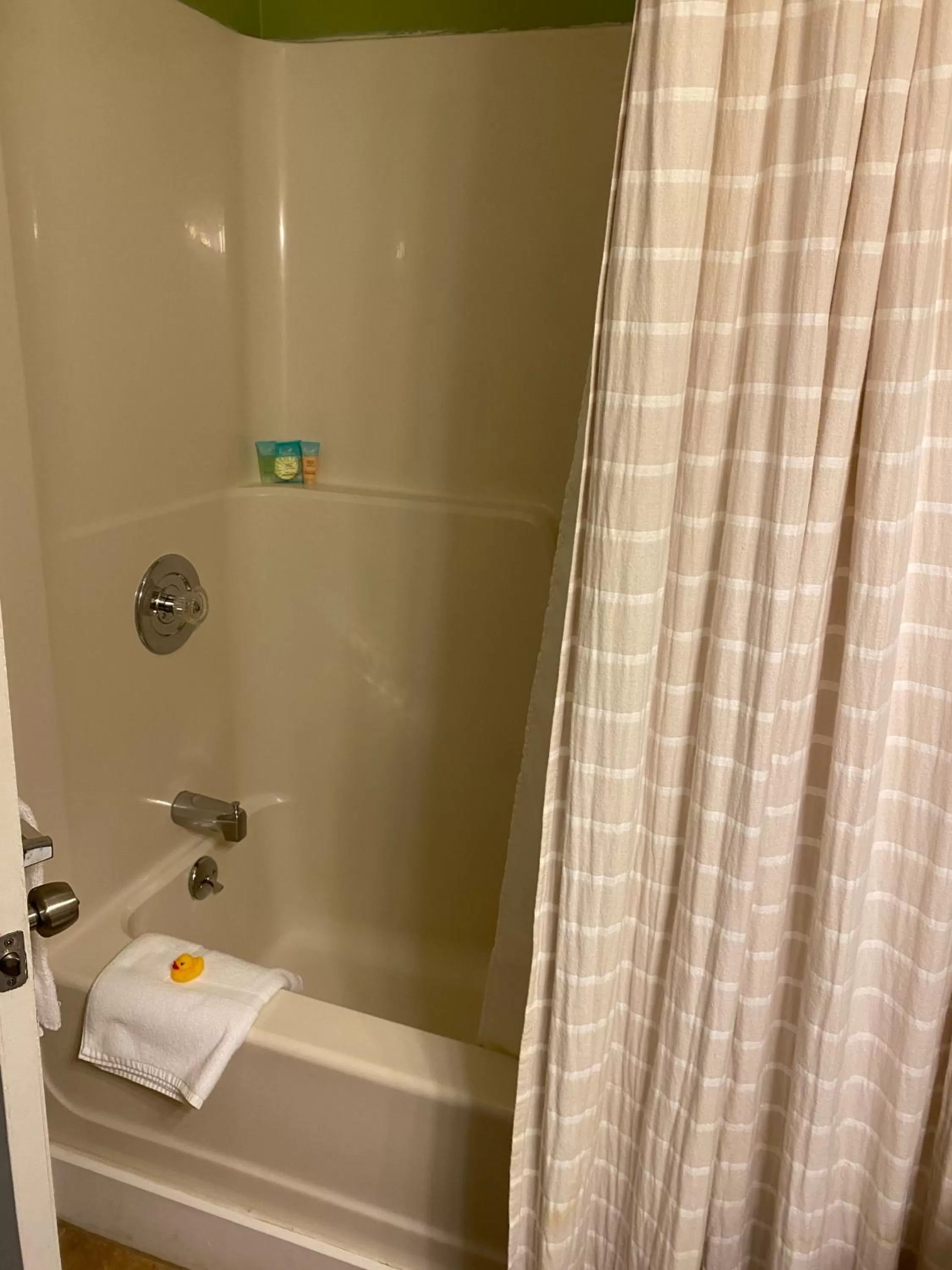 Shower in Bristol Suites