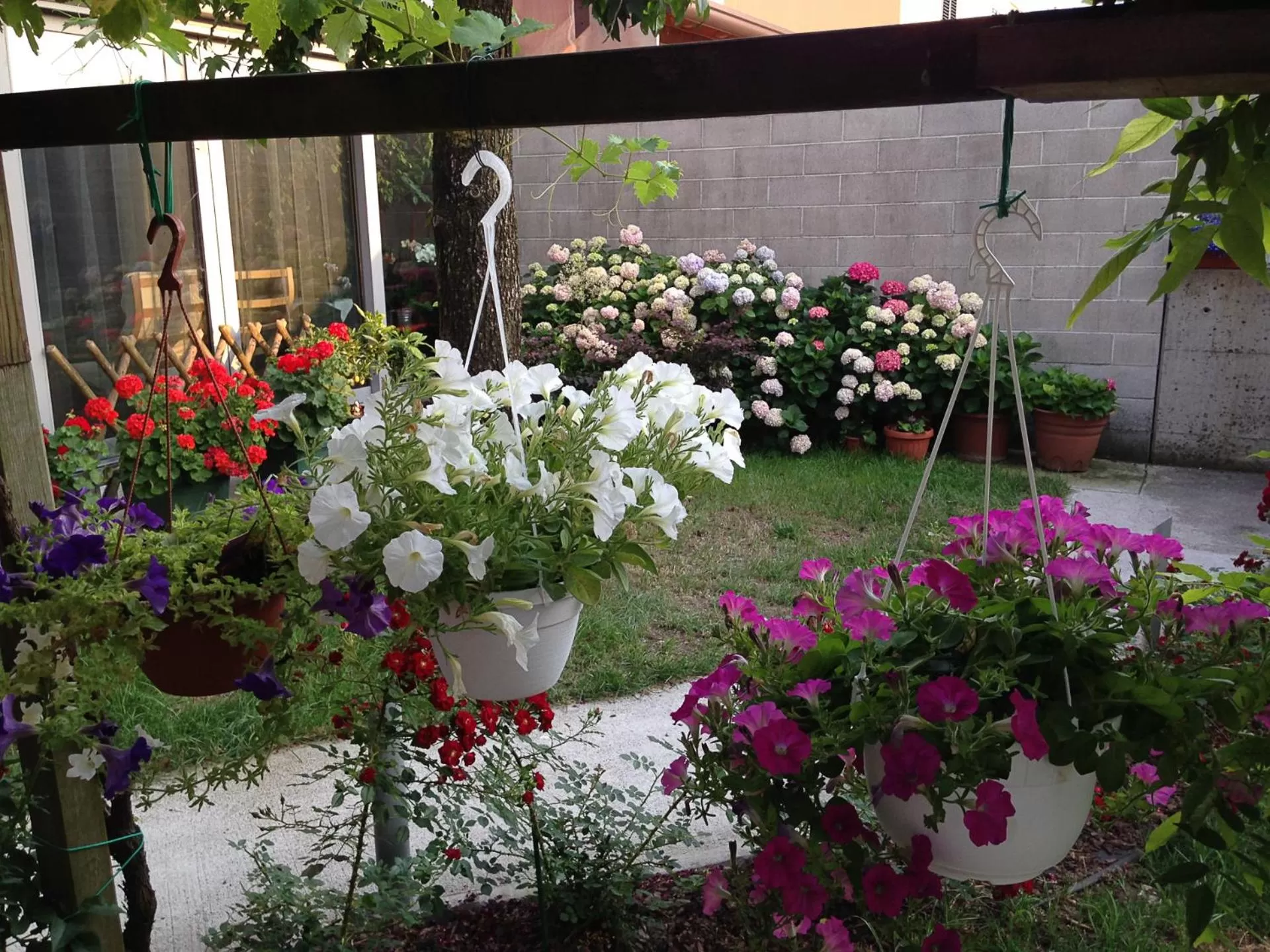 Garden view in BBnaon