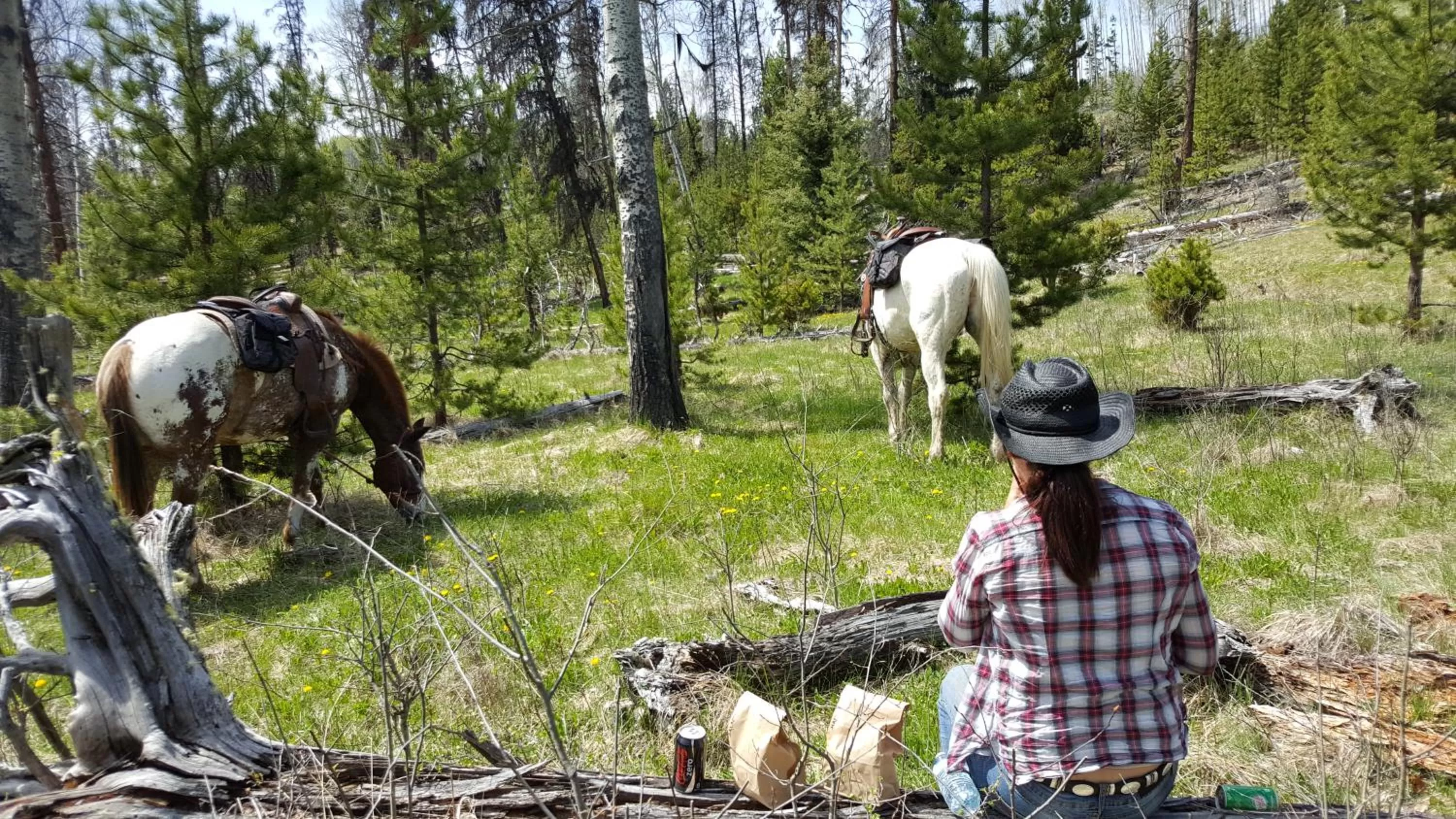 Activities in Wettstone Guest Ranch