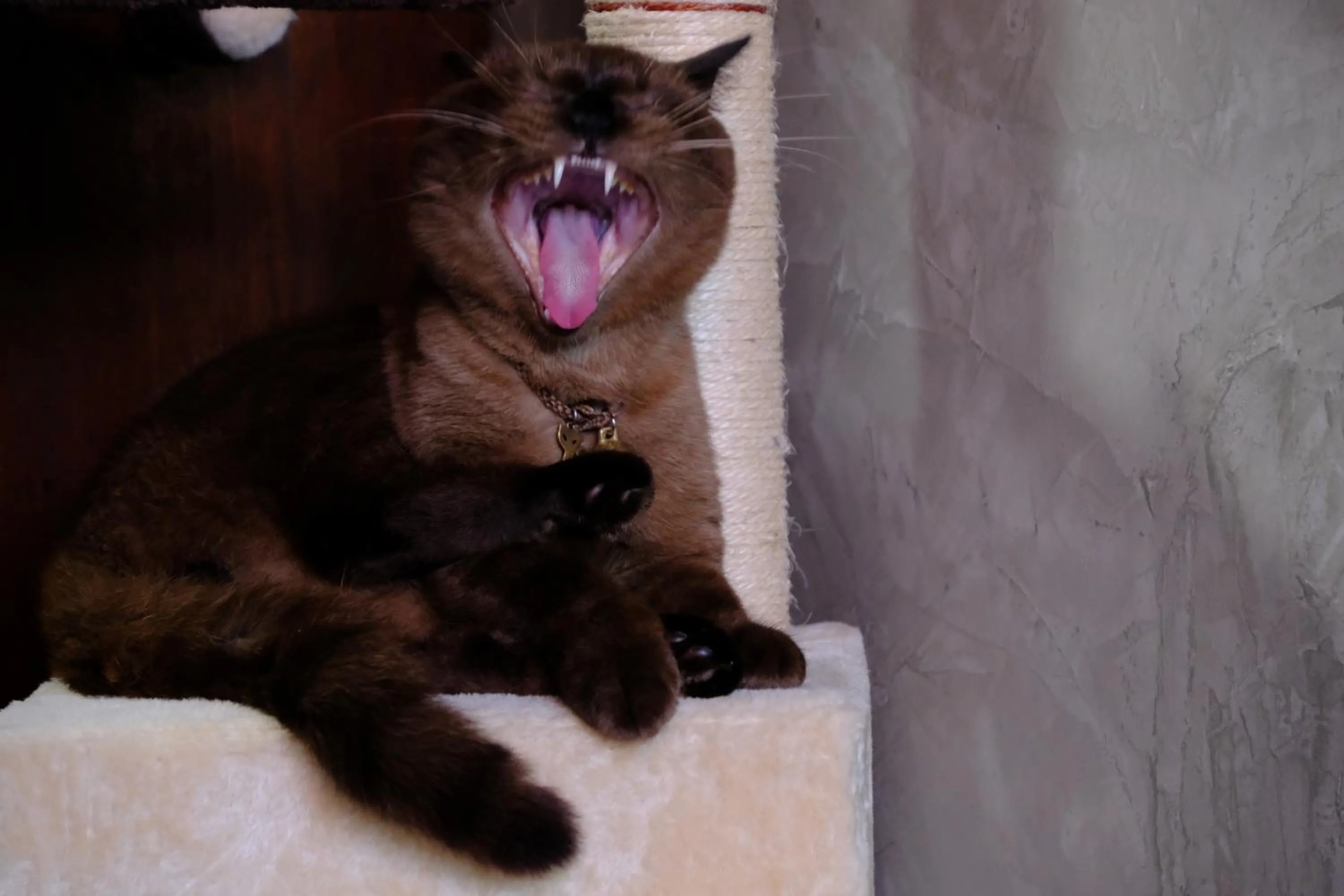 Other in Baan Lung Poshtel