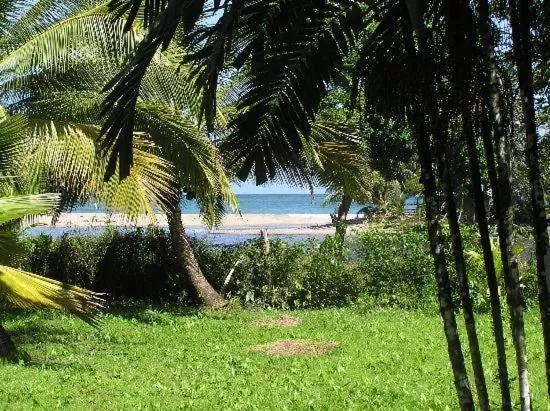 Garden in Acajou Hotel
